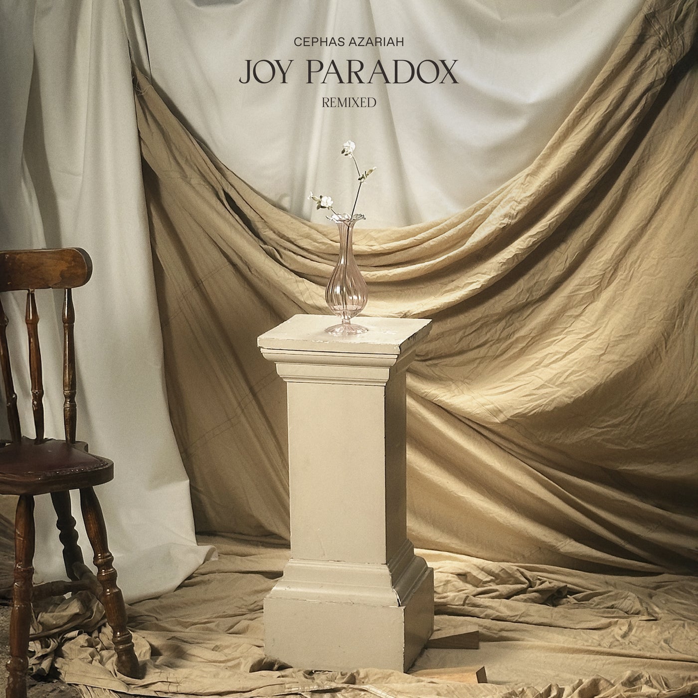 Joy Paradox (Remixed)