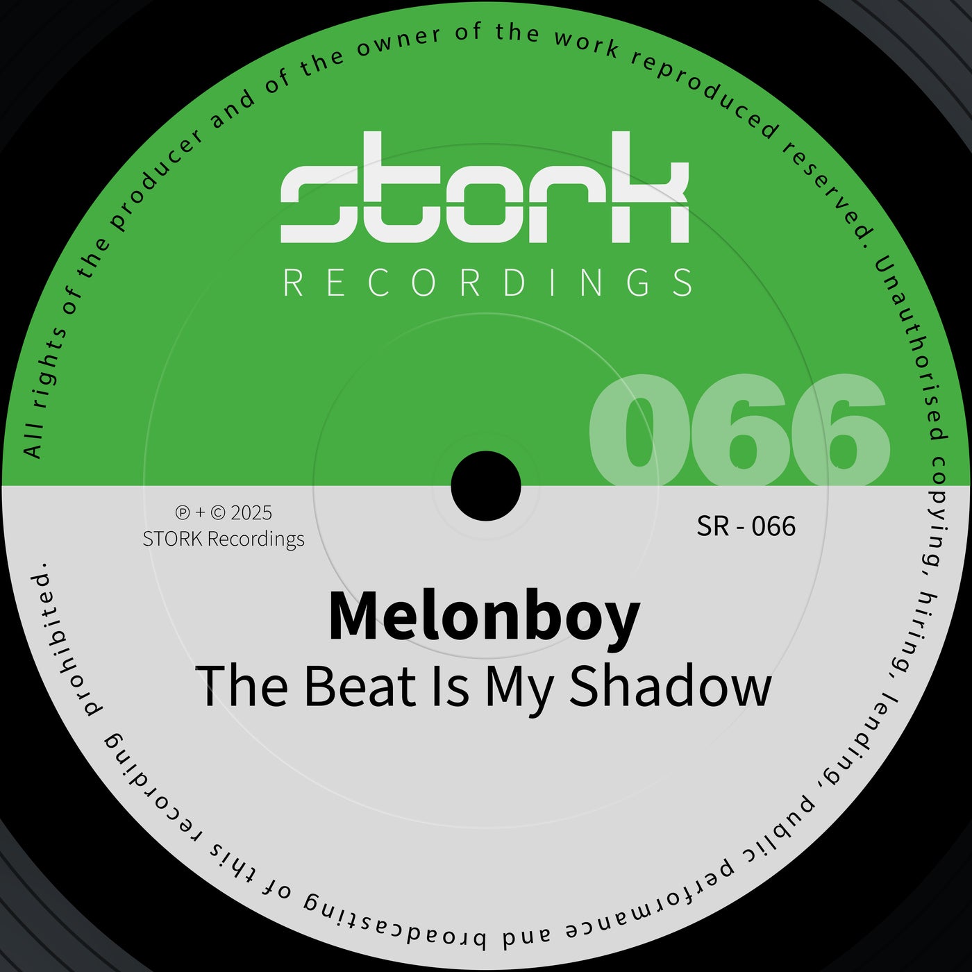 The Beat Is My Shadow