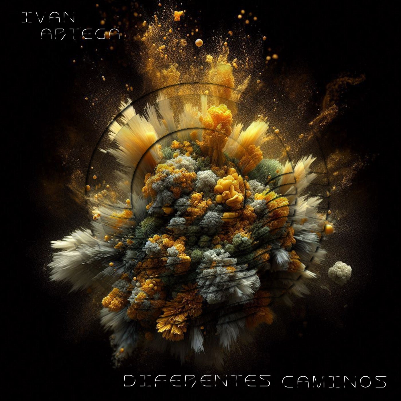 Diferentes Caminos