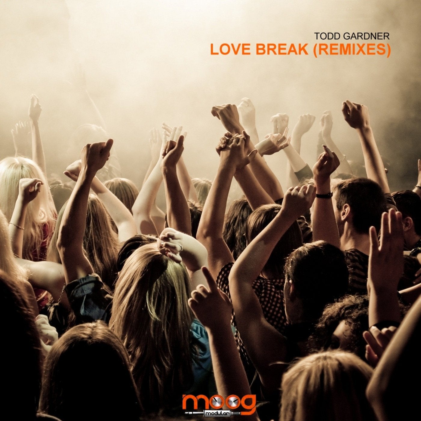 Love Break (Remixes)