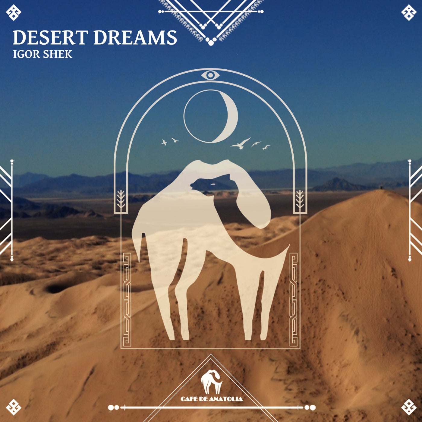 Desert Dreams