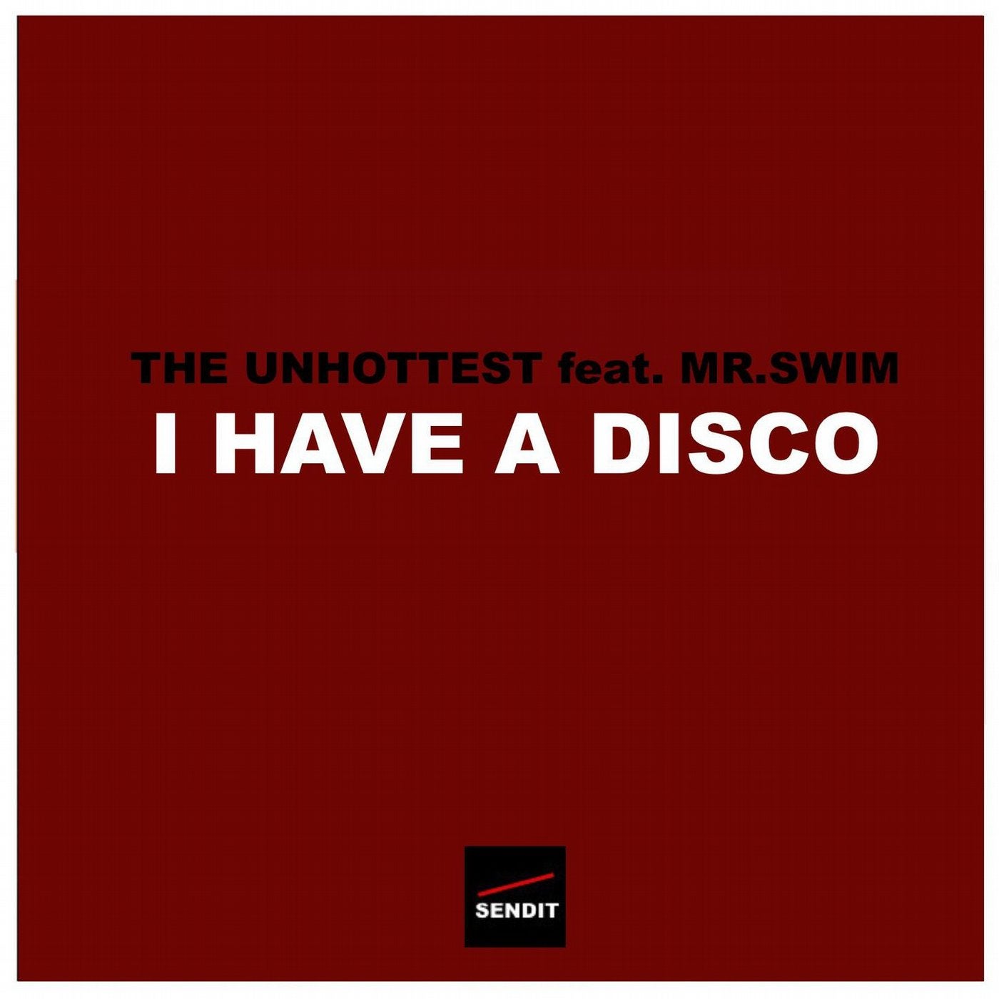 I Have a Disco (feat. Mr.Swim)