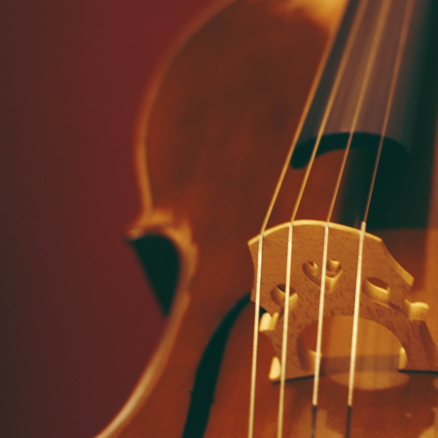 Amaviolin (Amapiano)