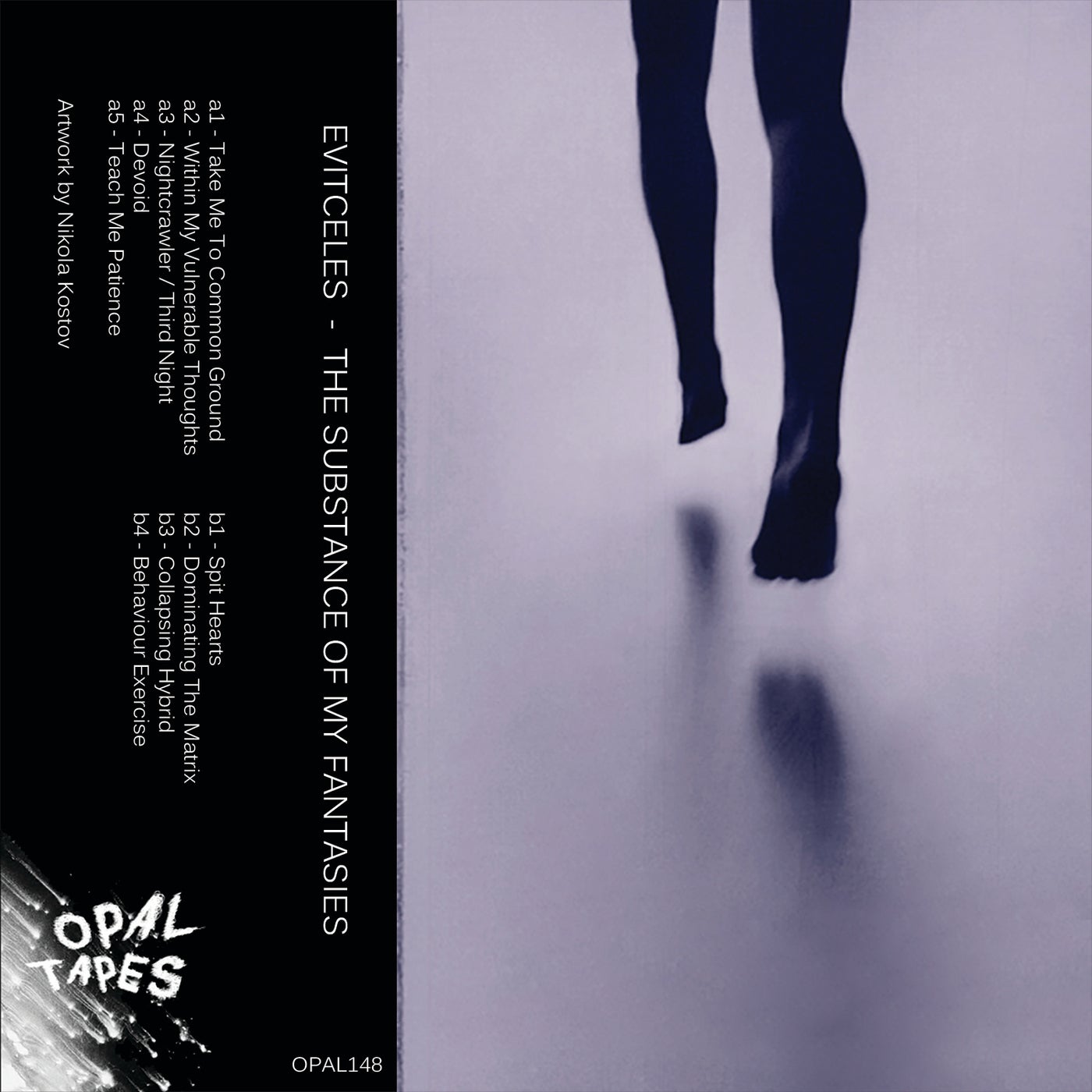 Cover art for The Substance of my Fantasies