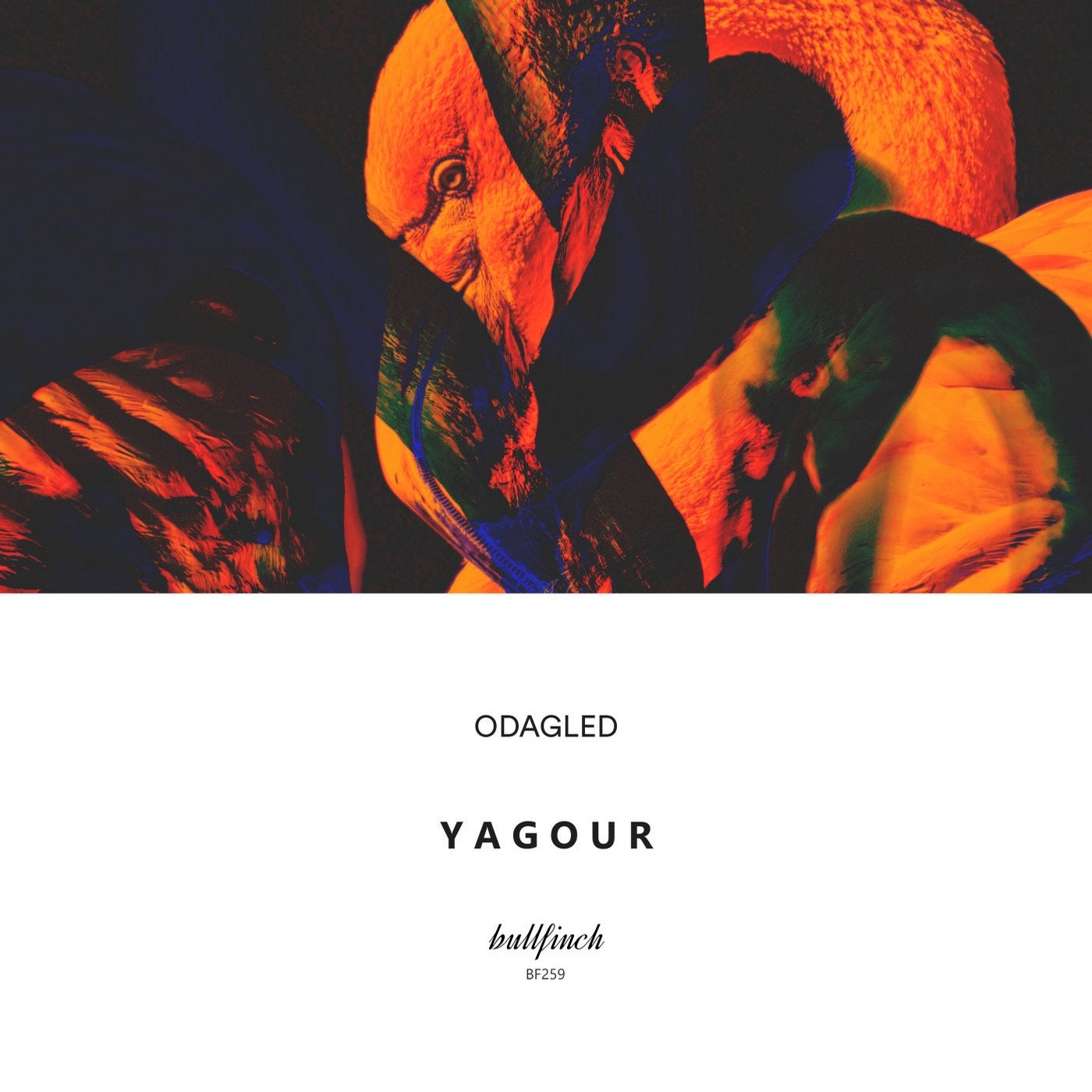 Yagour