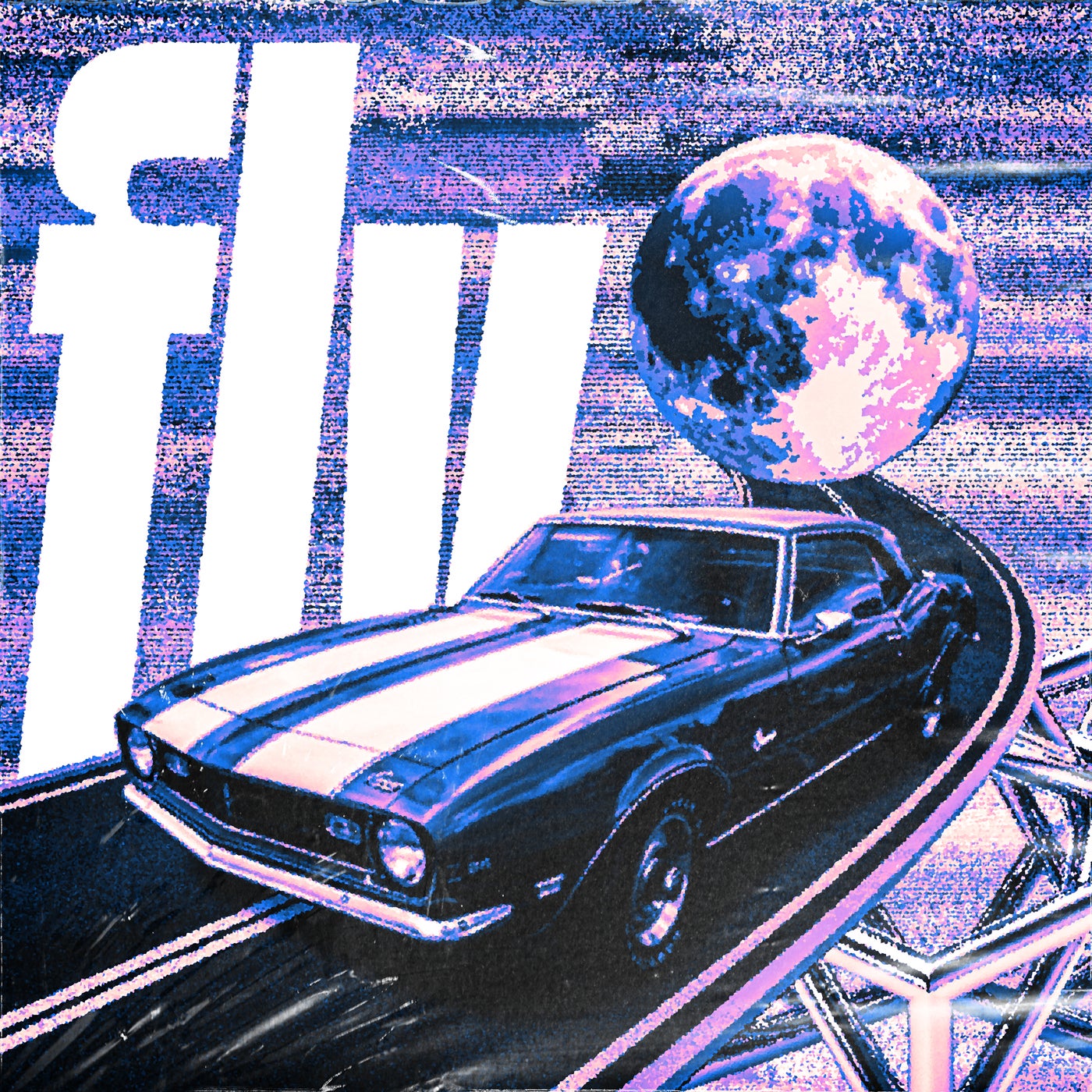 Fly