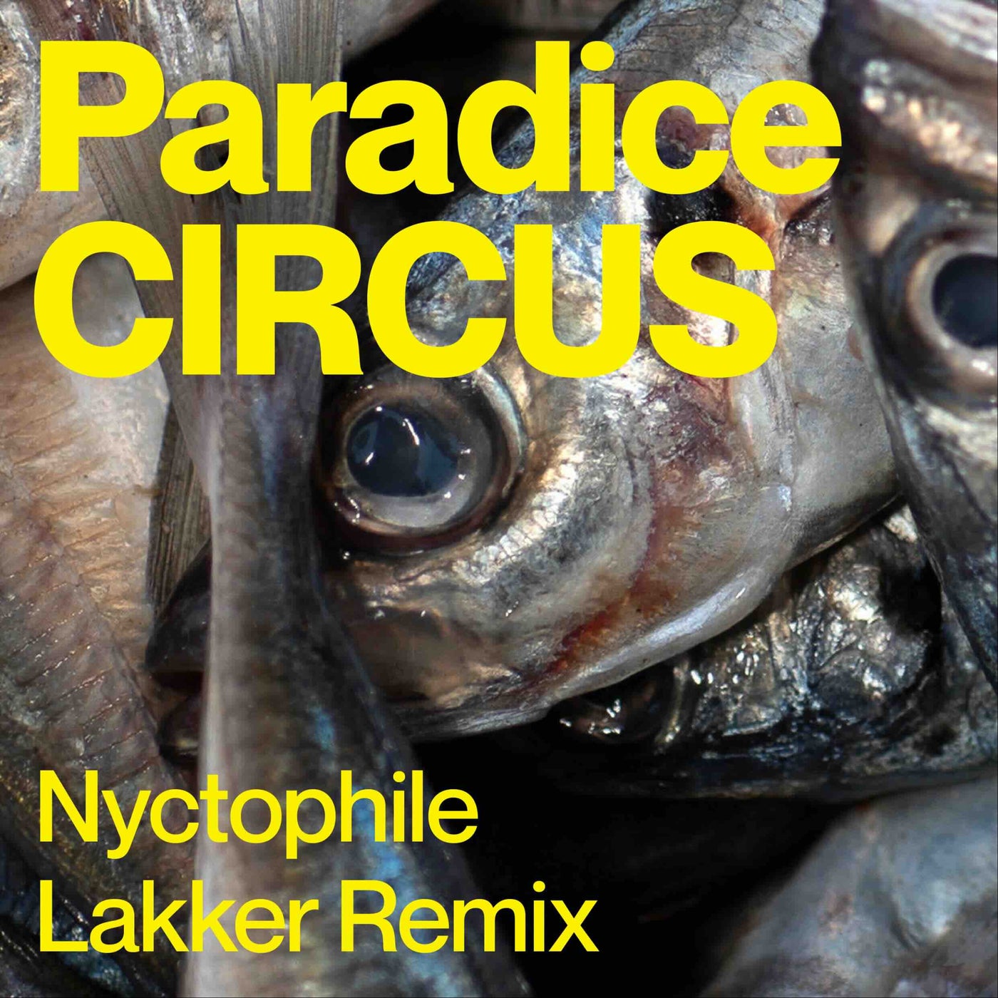 Nyctophile - Lakker Remix