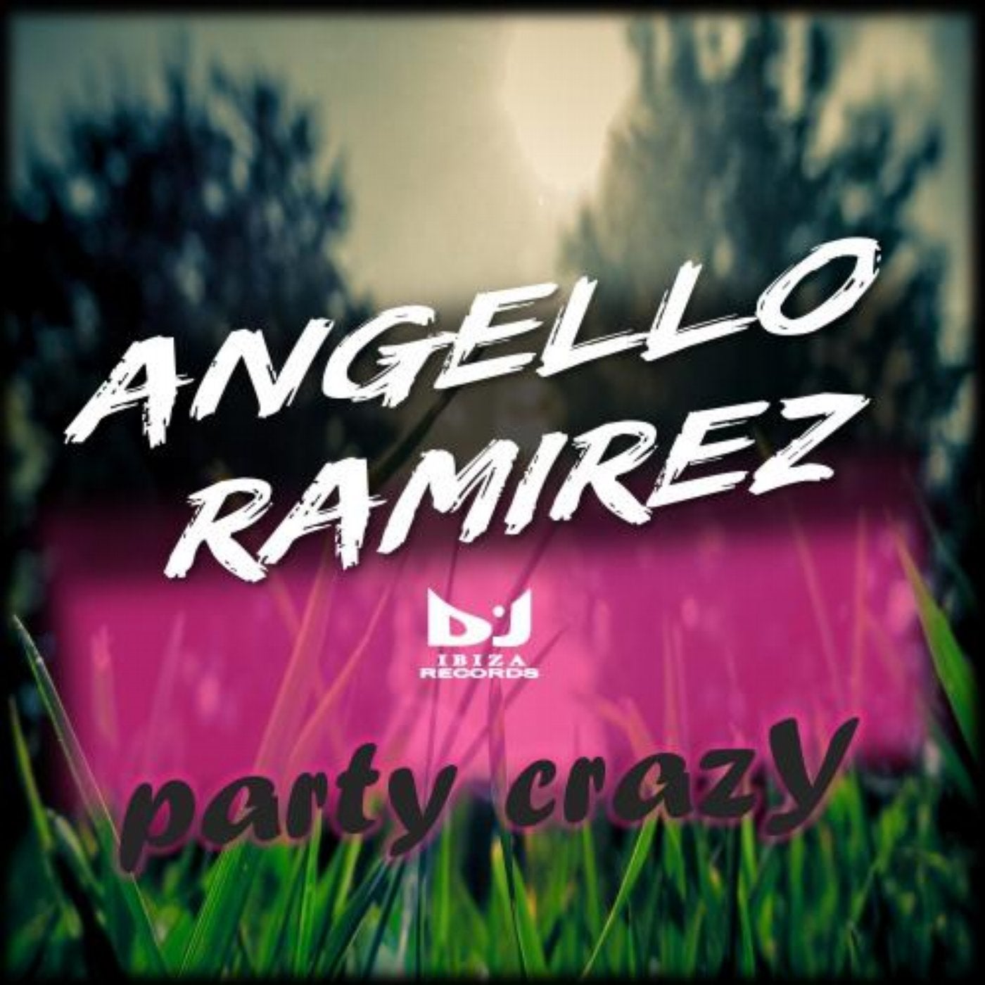 Party Crazy