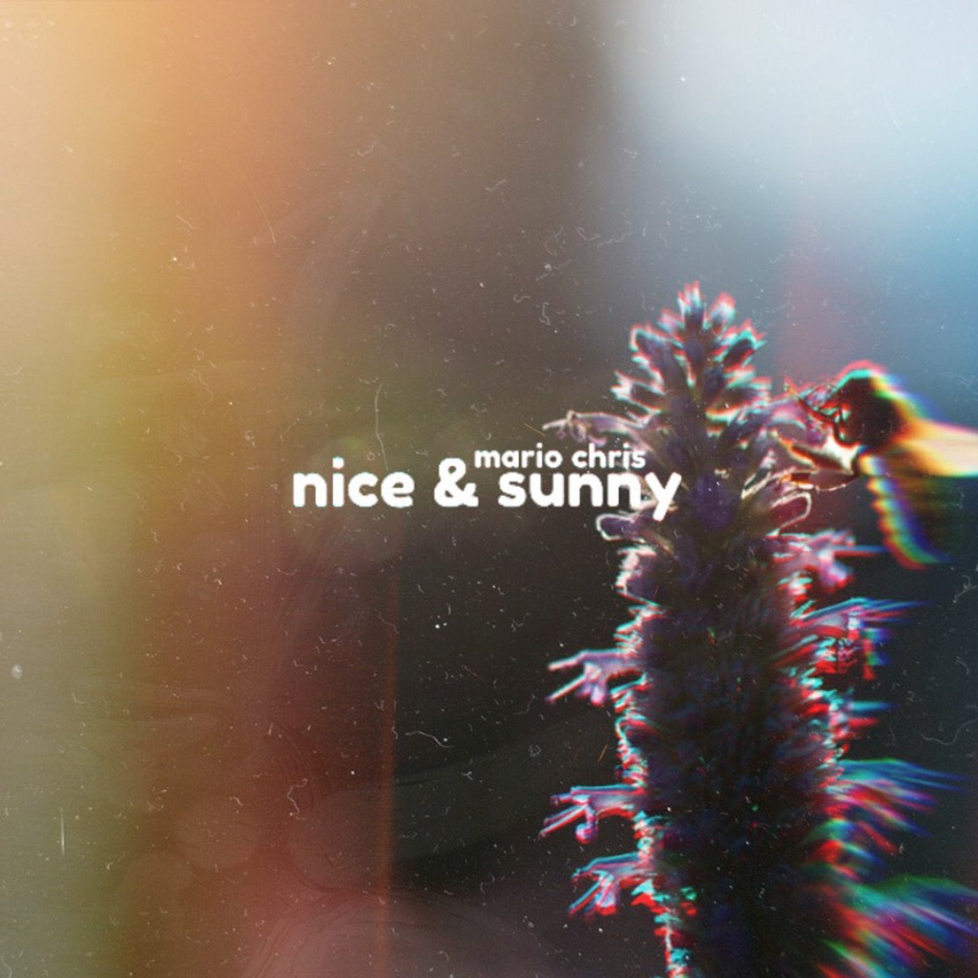 Nice & Sunny