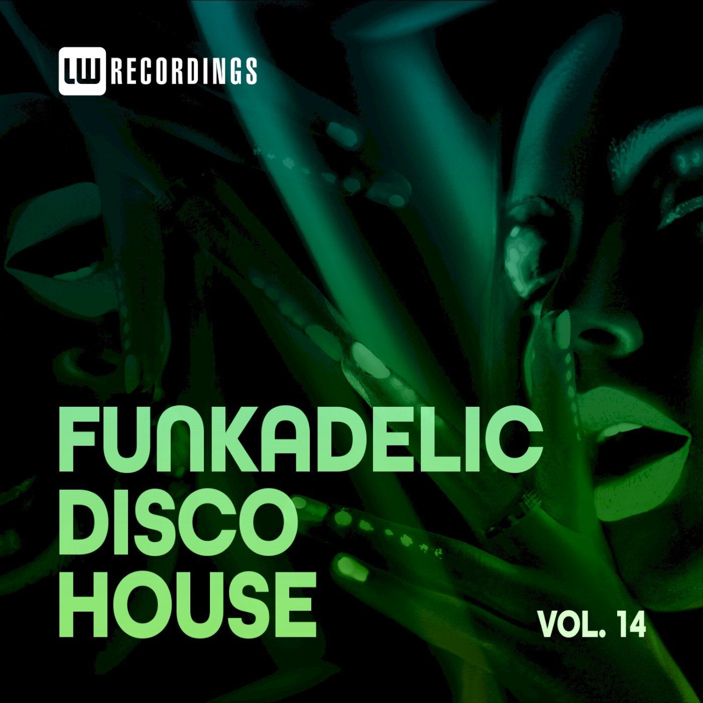 Funkadelic Disco House, 14