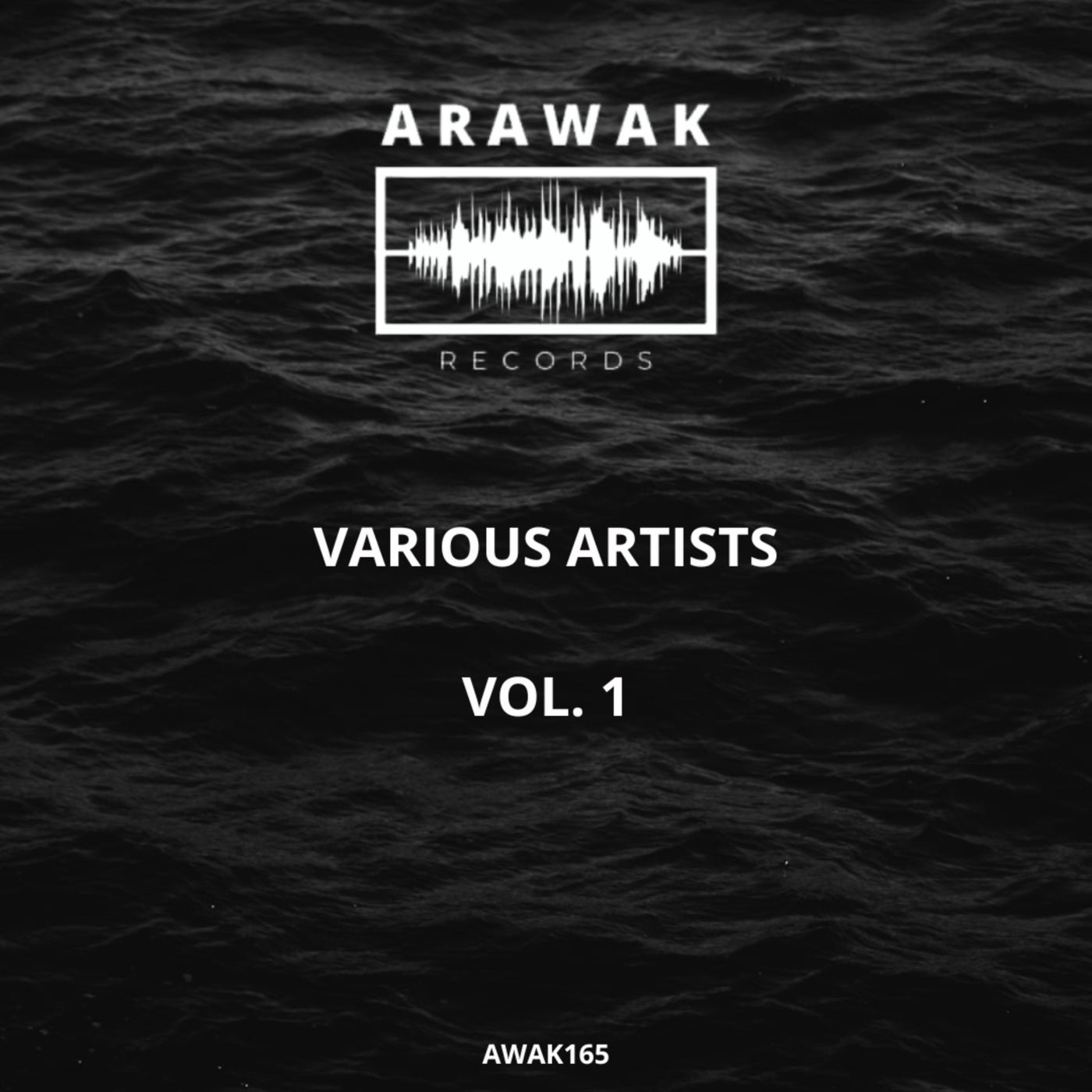 VA – Various Artists, Vol. 1 AWAK165 VA – Various Artists, Vol. 1 AWAK165