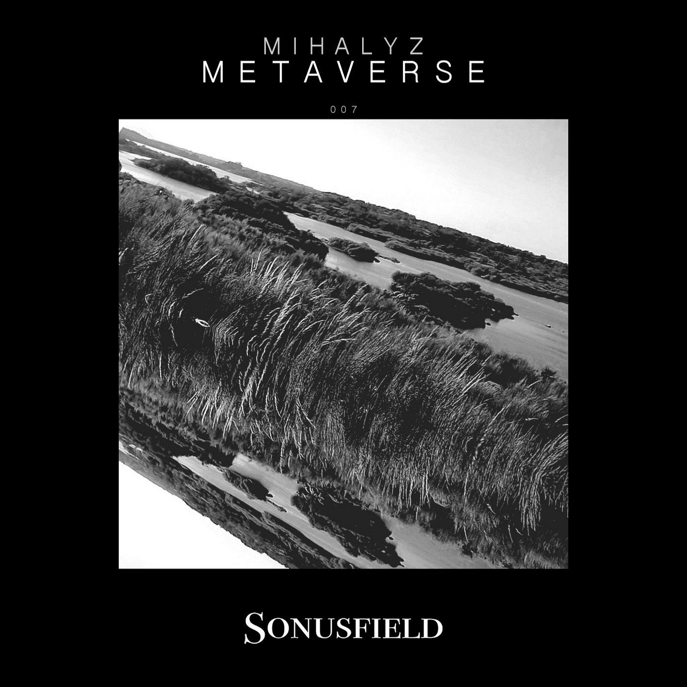 Metaverse