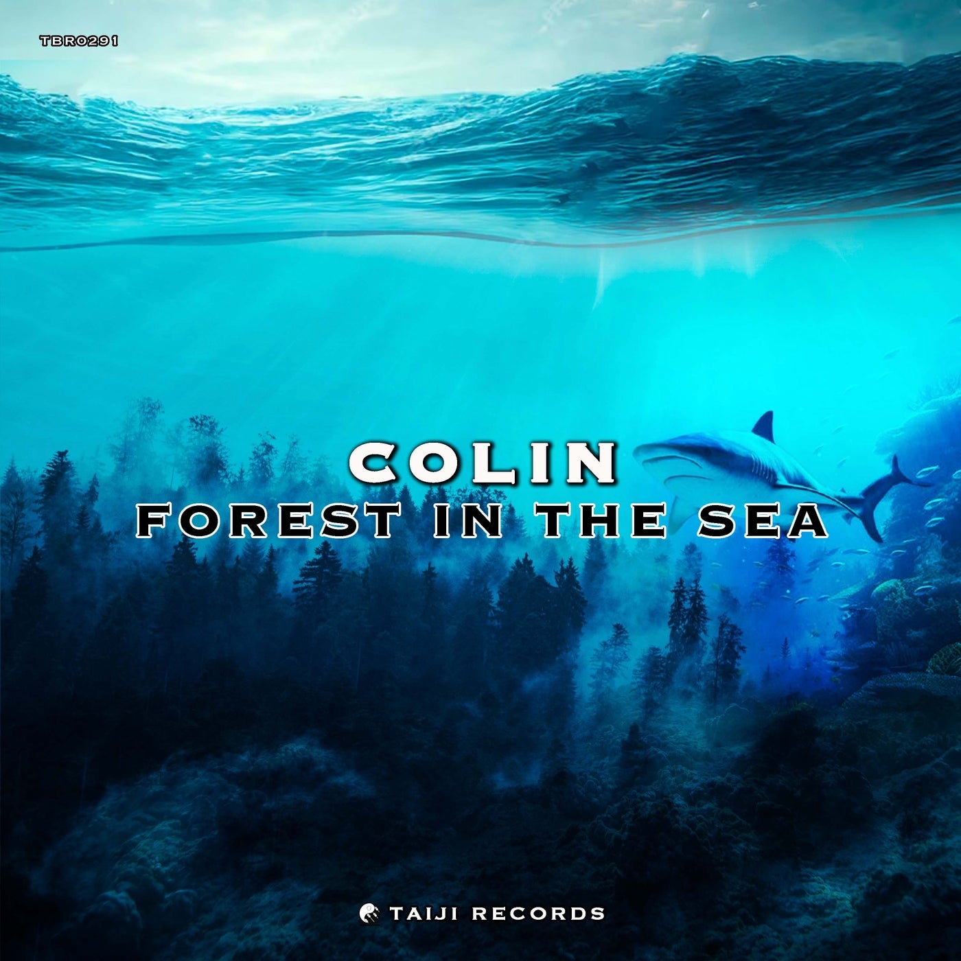 Forest In The Sea