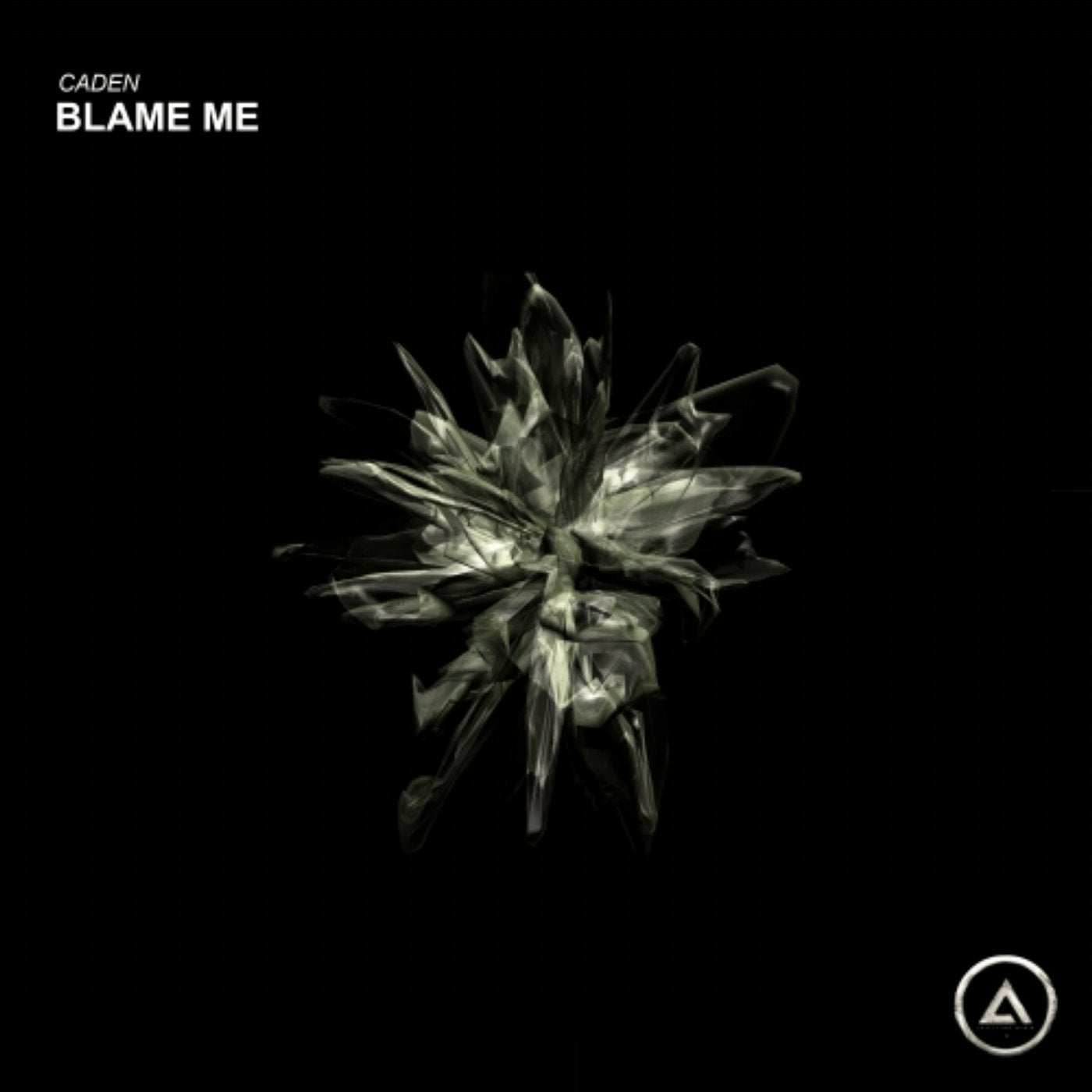 Blame Me