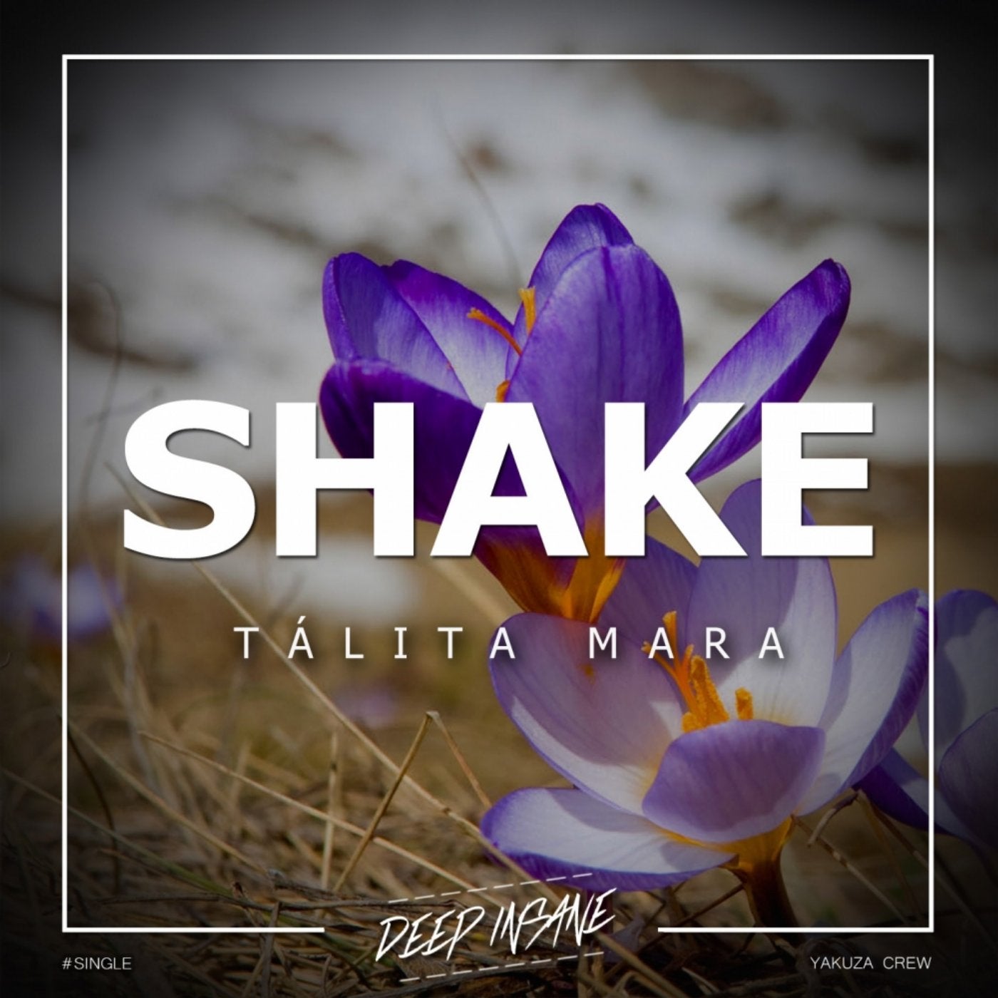 Shake original mix. Klik Klak - Shake (Original Mix) Дата релиза. Frey Milkshake Original Mix.