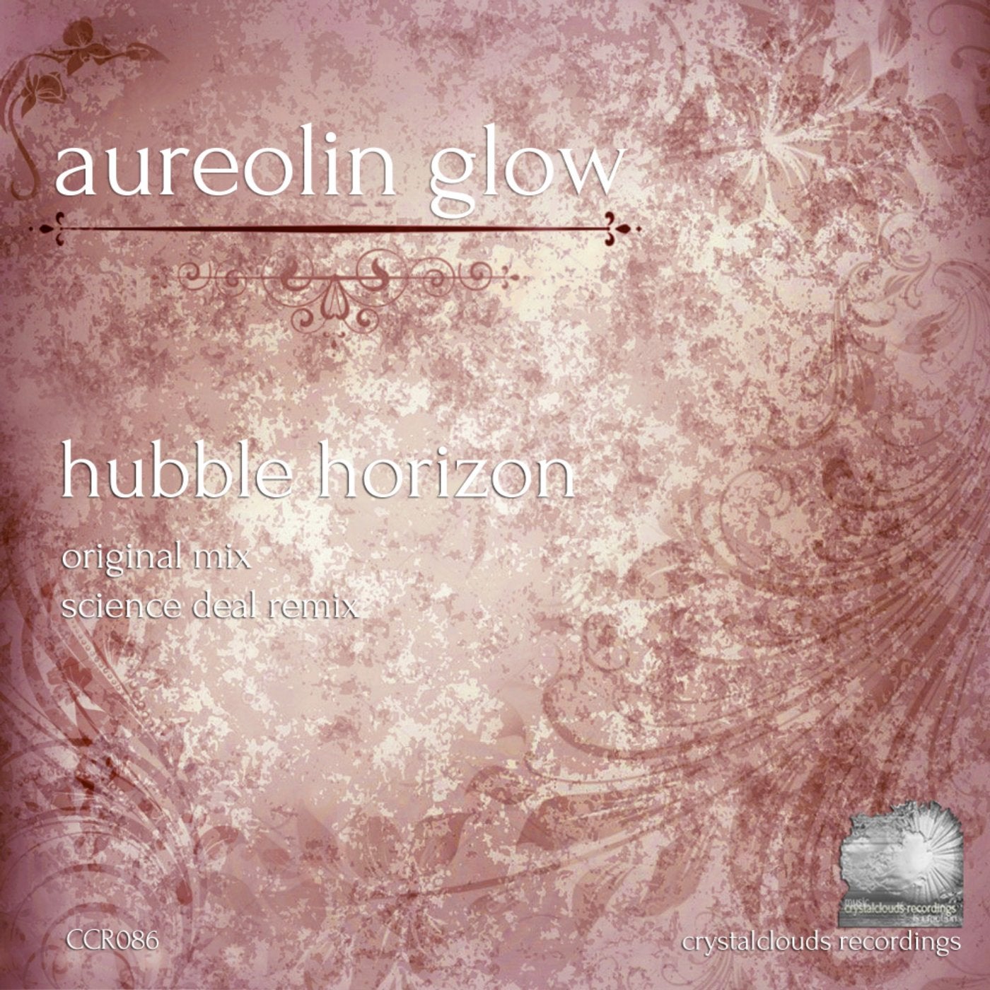 Hubble Horizon