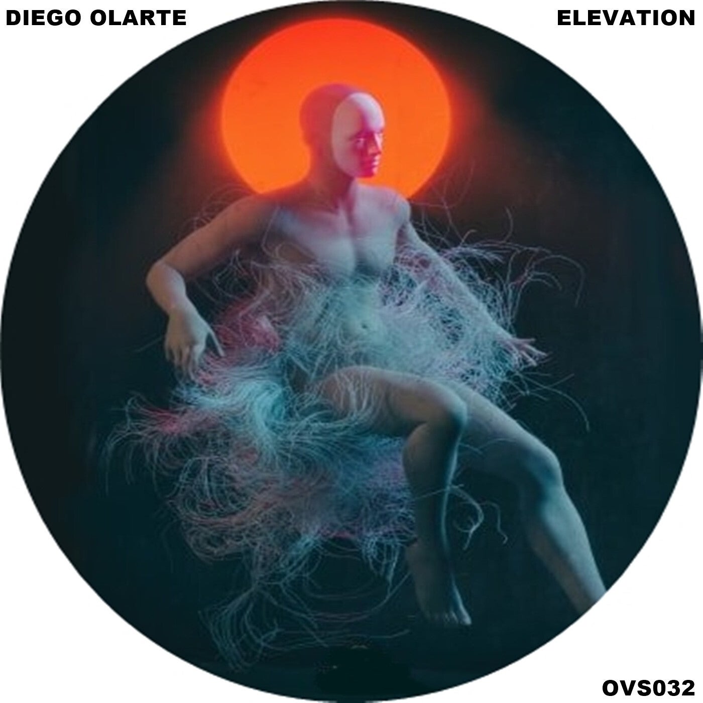 Elevation