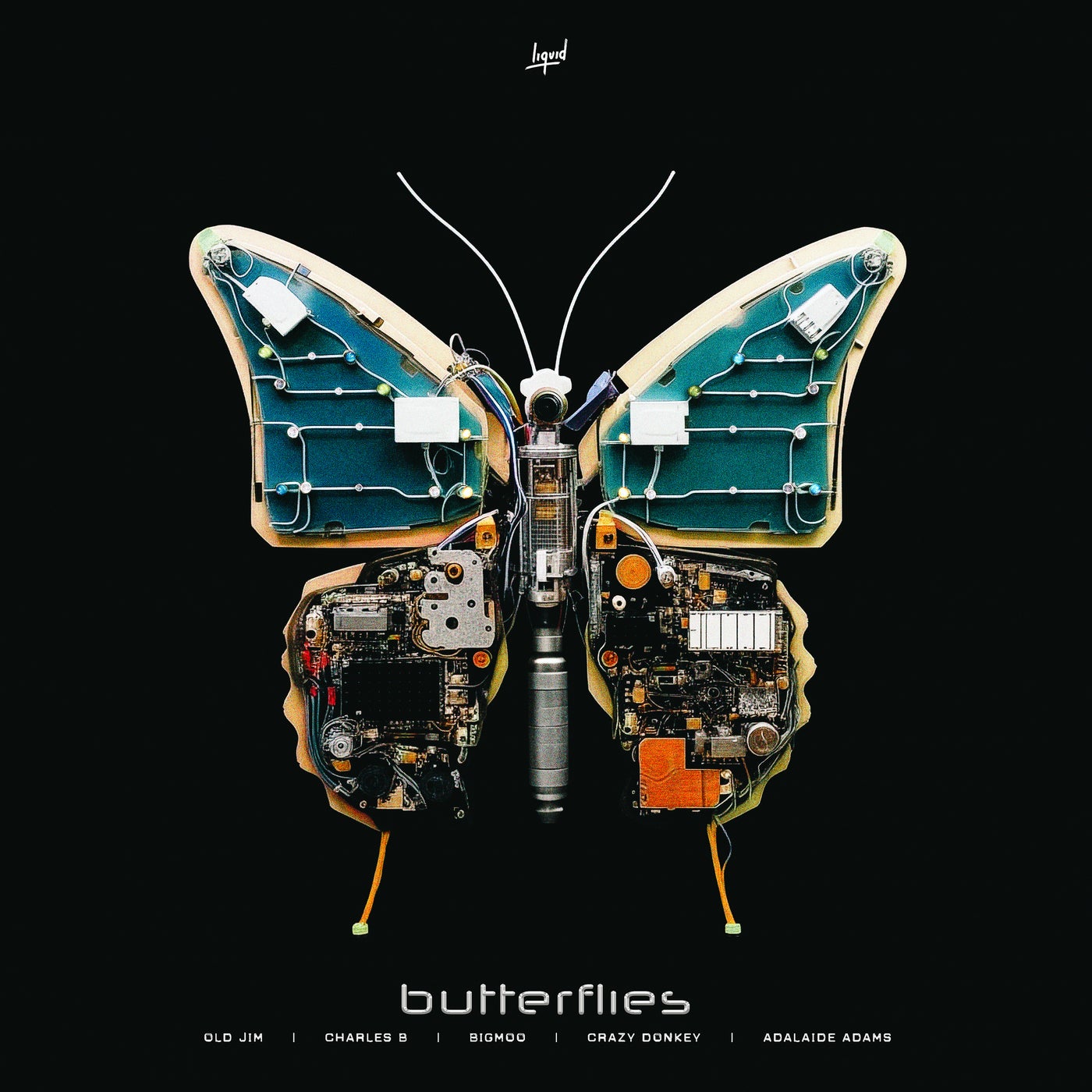 Butterflies - Extended Mix (feat. Adalaide Adams)