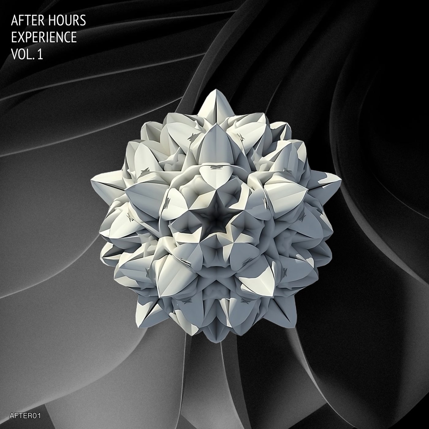 After Hours Experience, Vol. 1