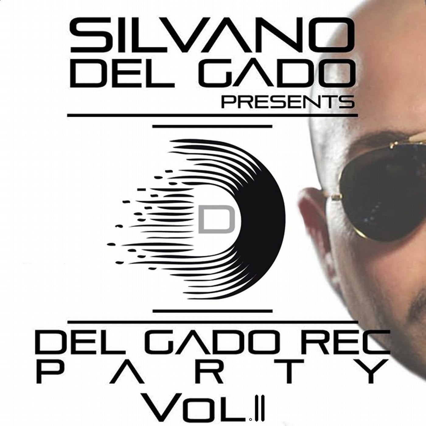 Del Gado Rec Party Compilation, Vol. 2 (Silvano del Gado Presents)