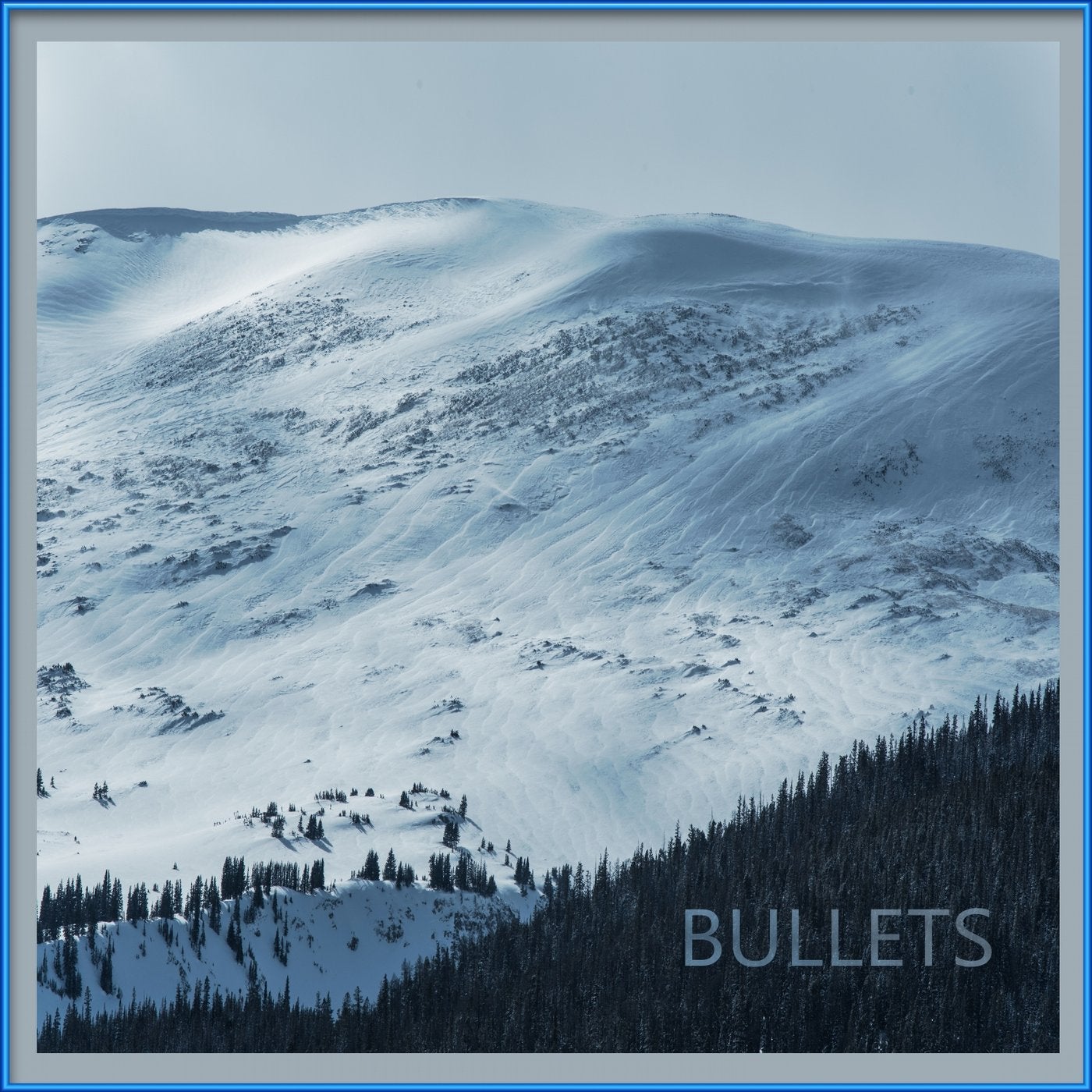 Bullets