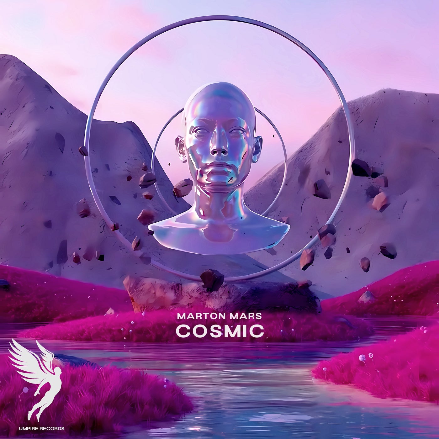 Cosmic