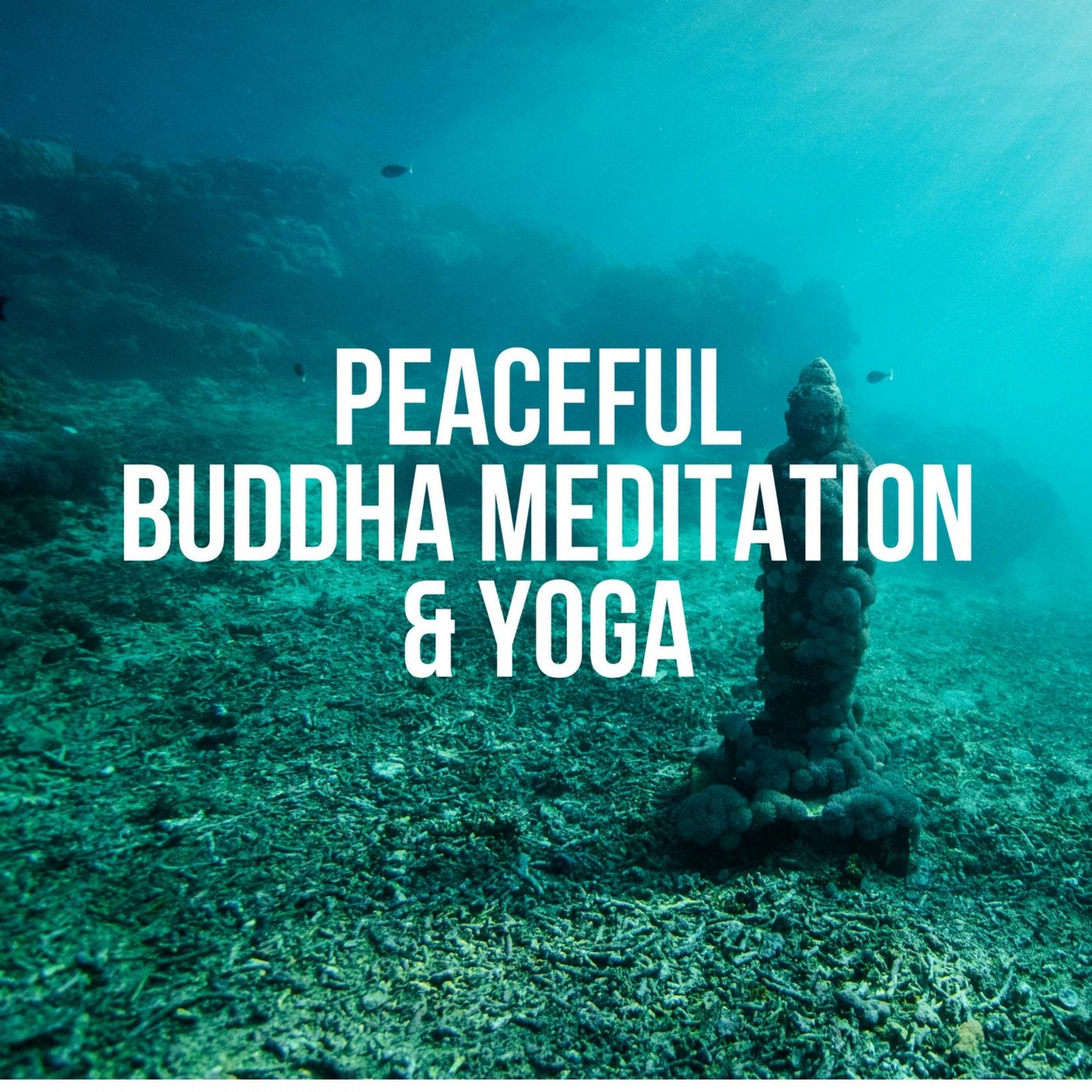 Peaceful Buddha Meditation Yoga (Calm Relaxing Background Music)