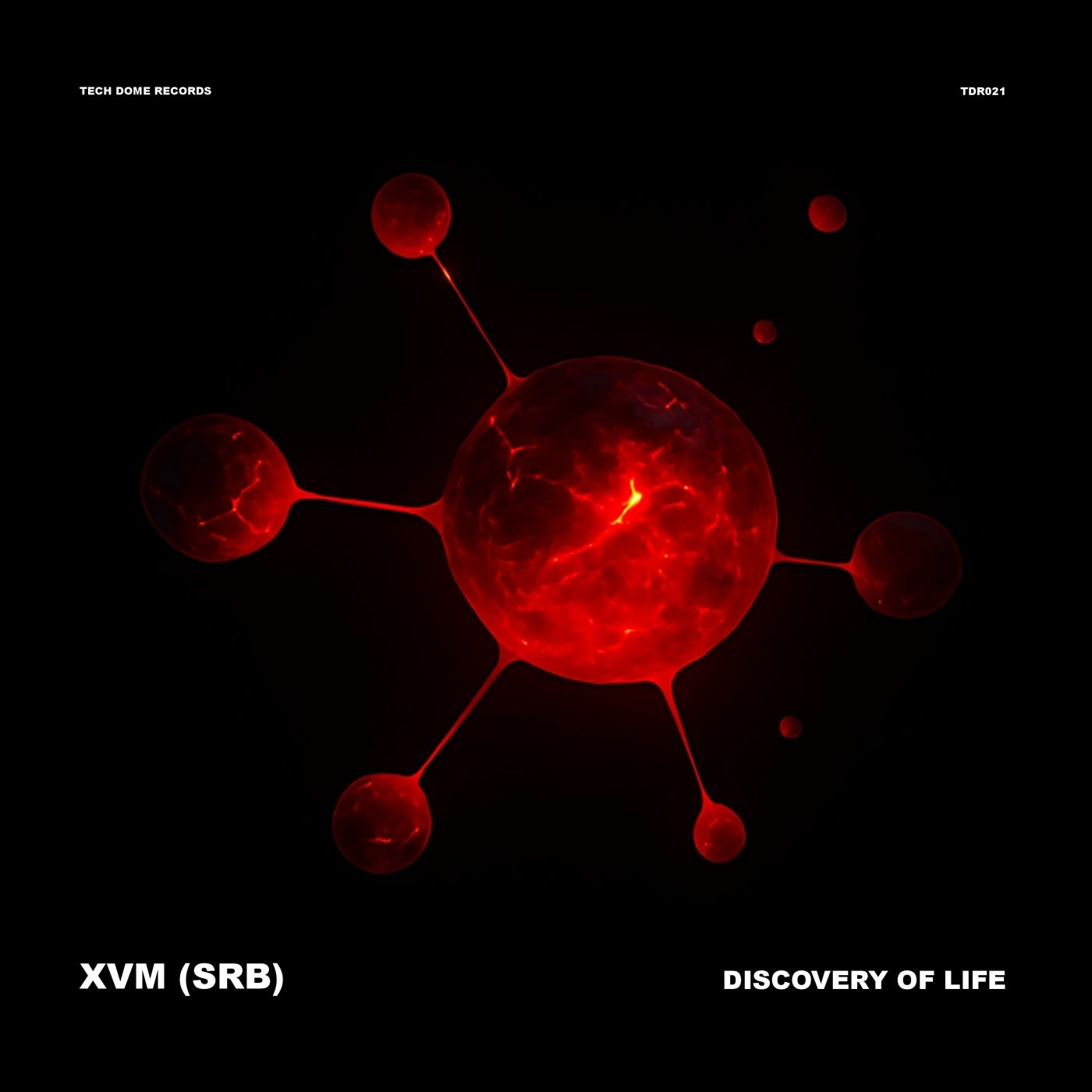 Discovery of Life