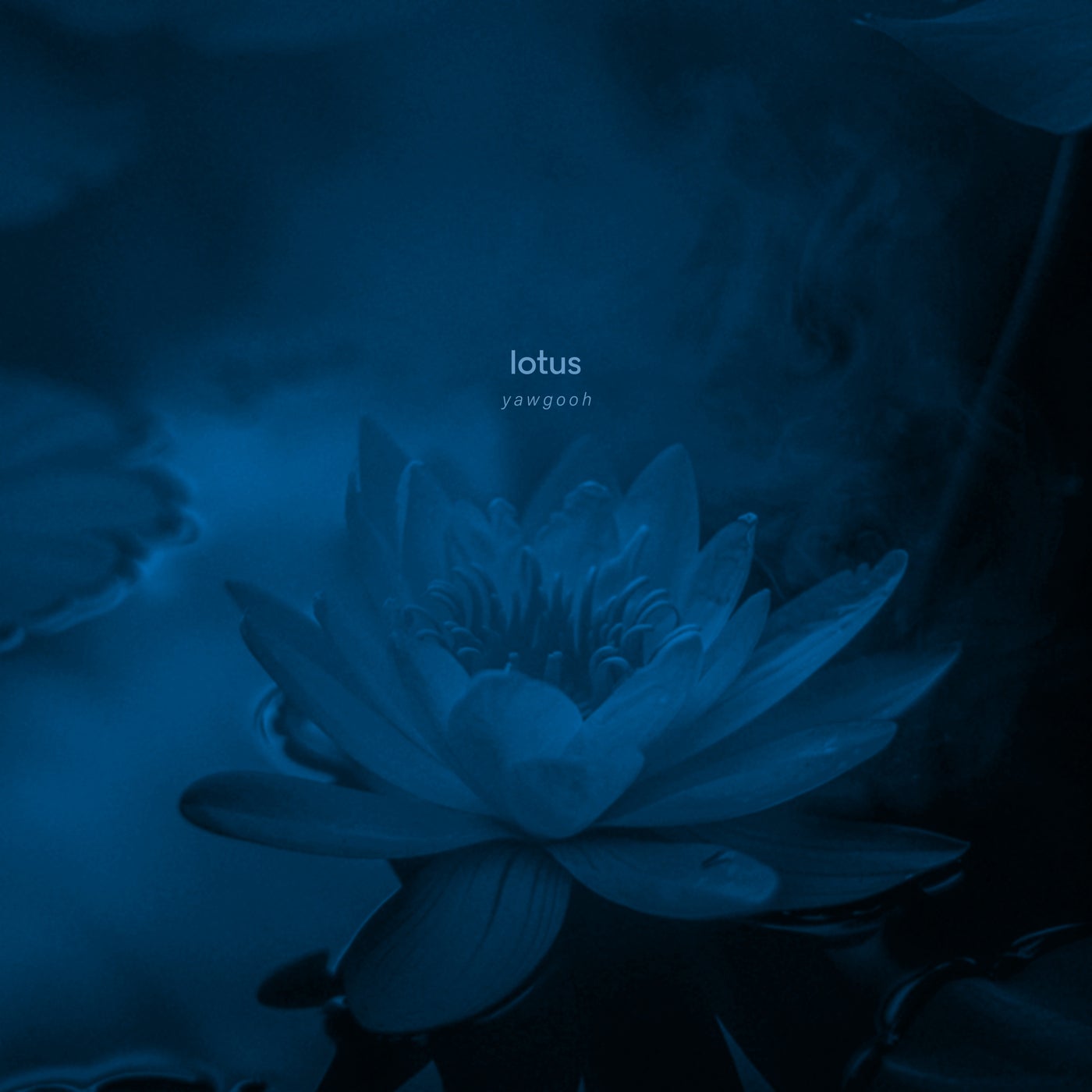 lotus