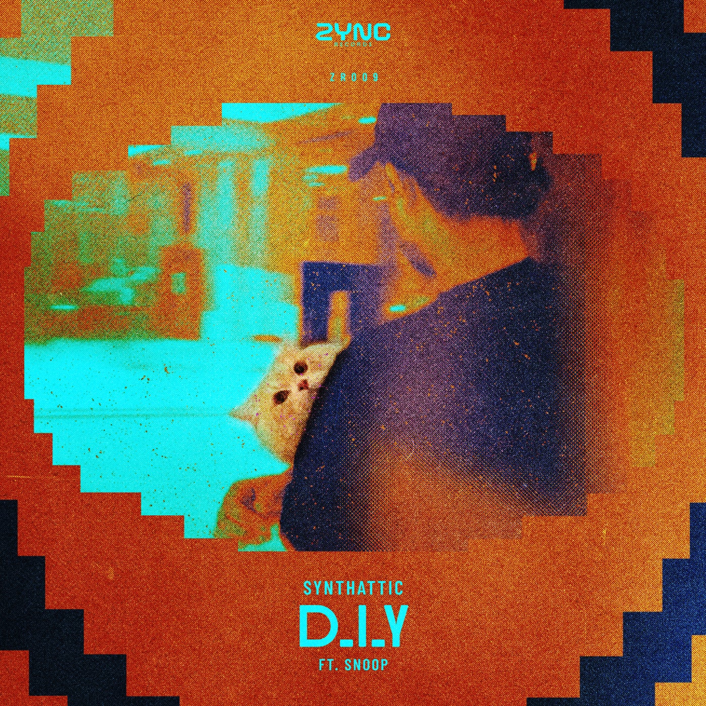 D.I.Y (W-Snoop)