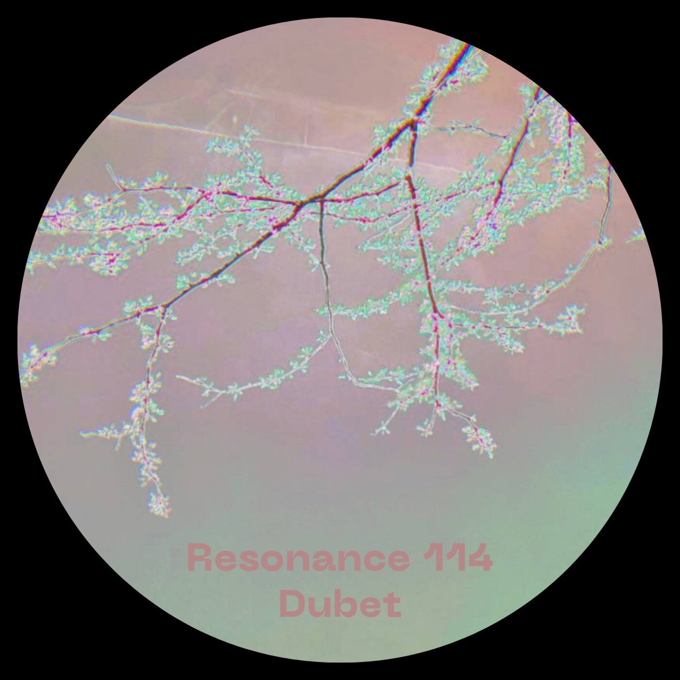 Resonance 114