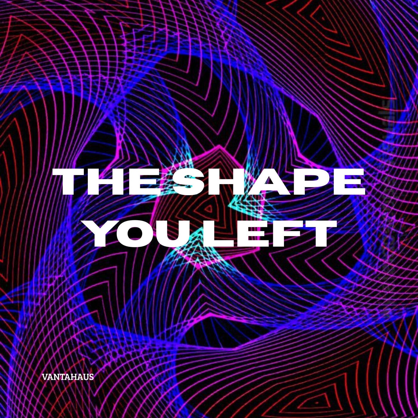 The Shape You Left
