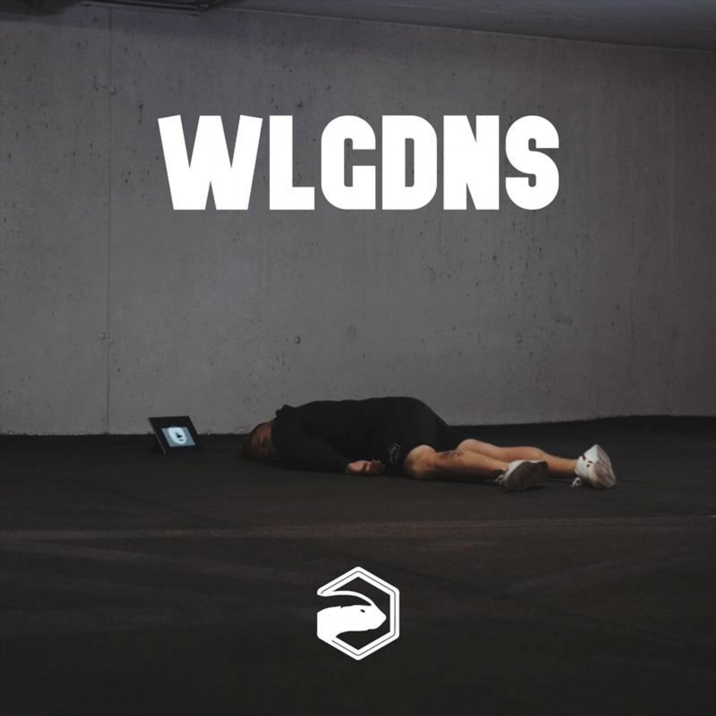 WLGDNS