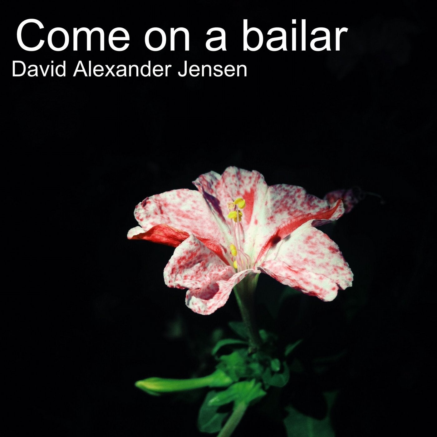 Come on a Bailar