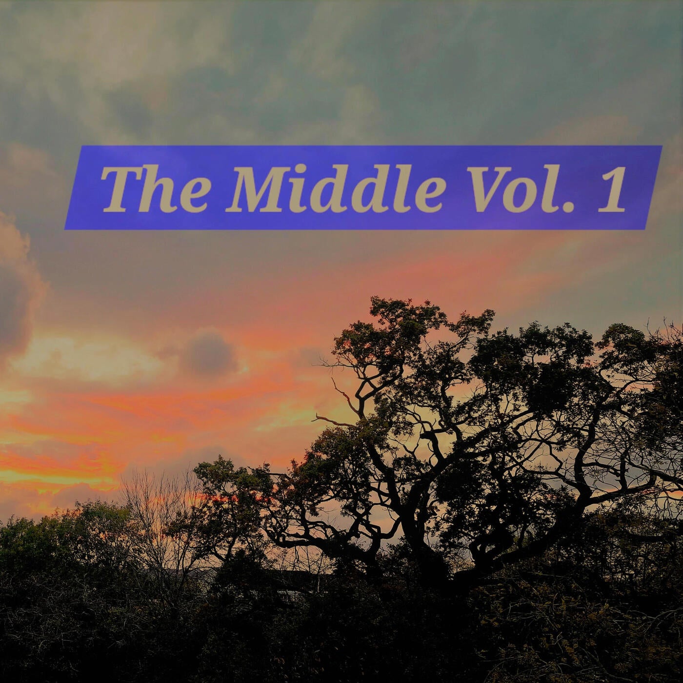 The Middle, Vol. 1