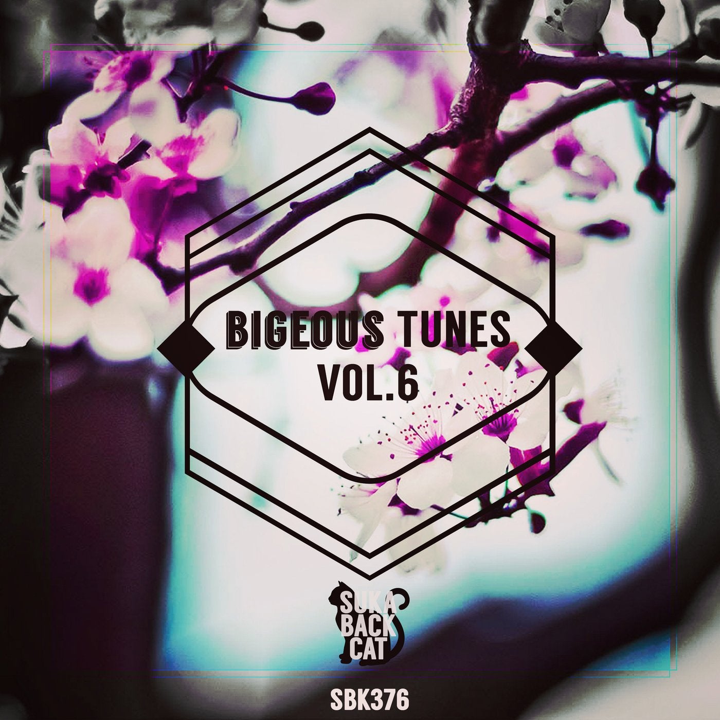 Bigeous Tunes, Vol. 6