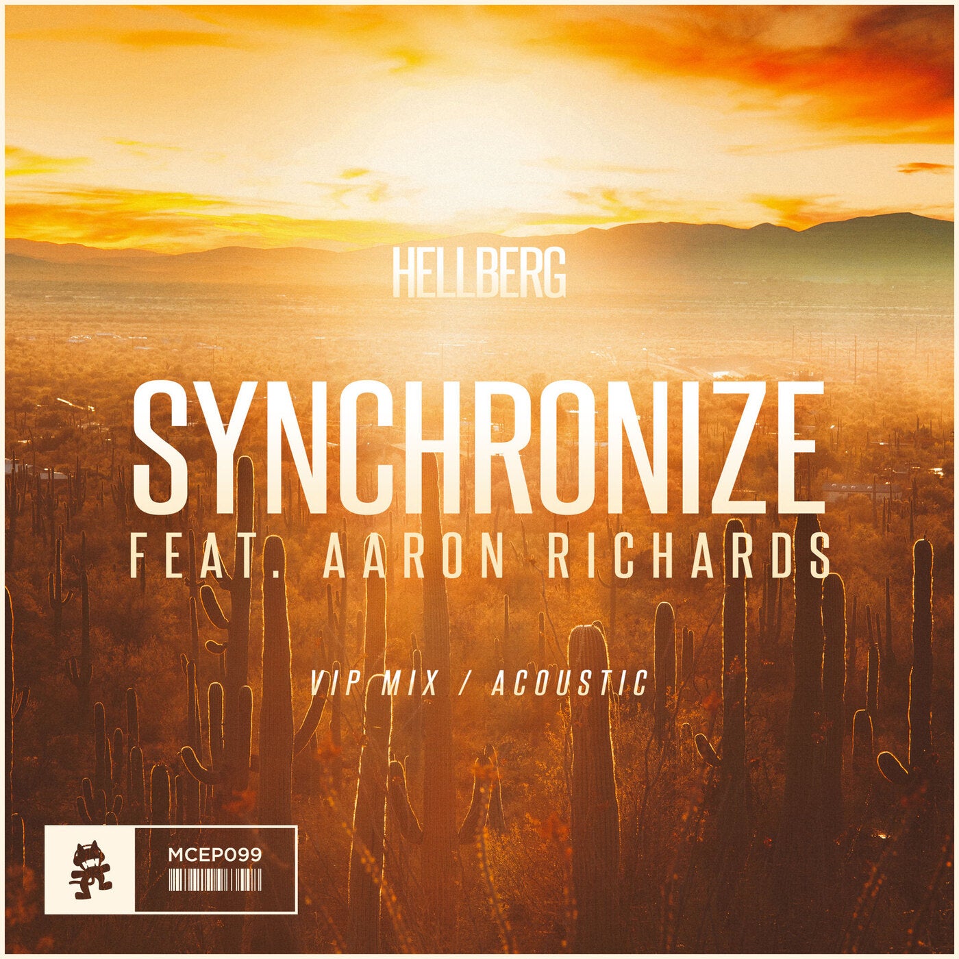 Synchronize - VIP / Acoustic