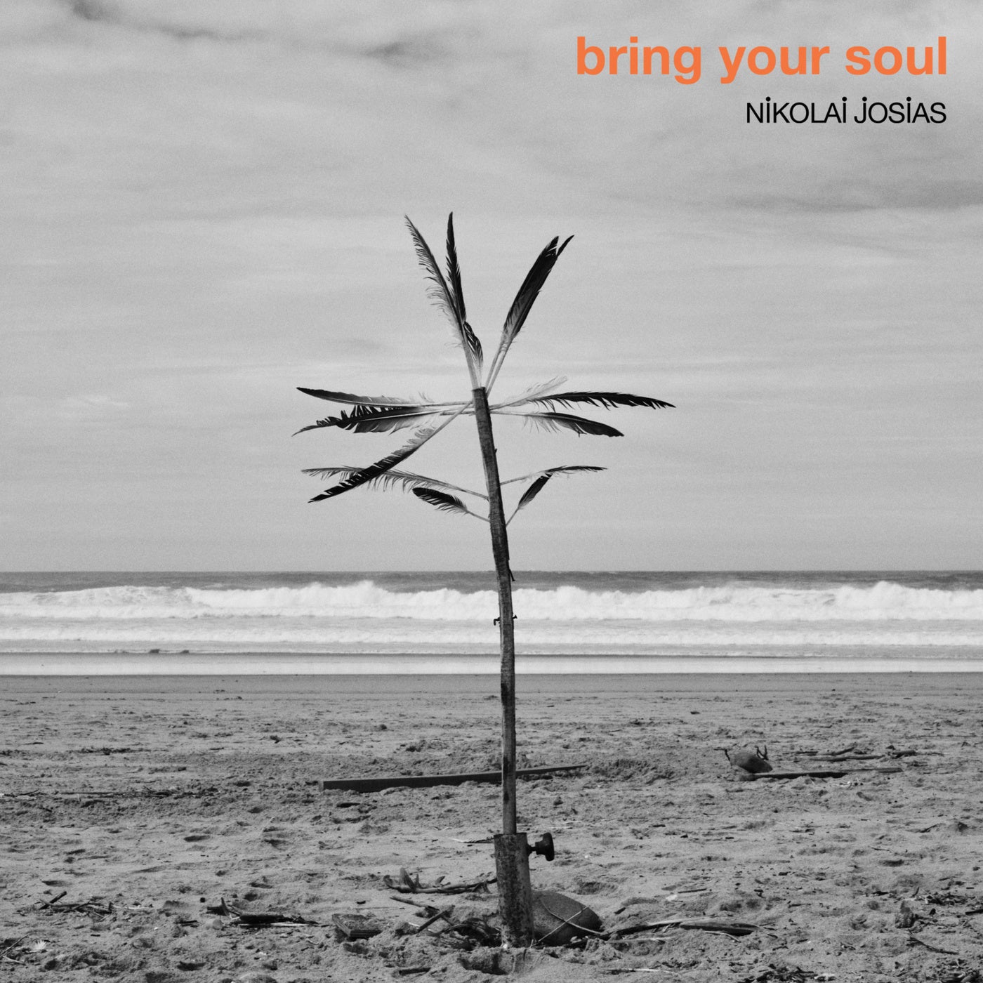 Bring Your Soul