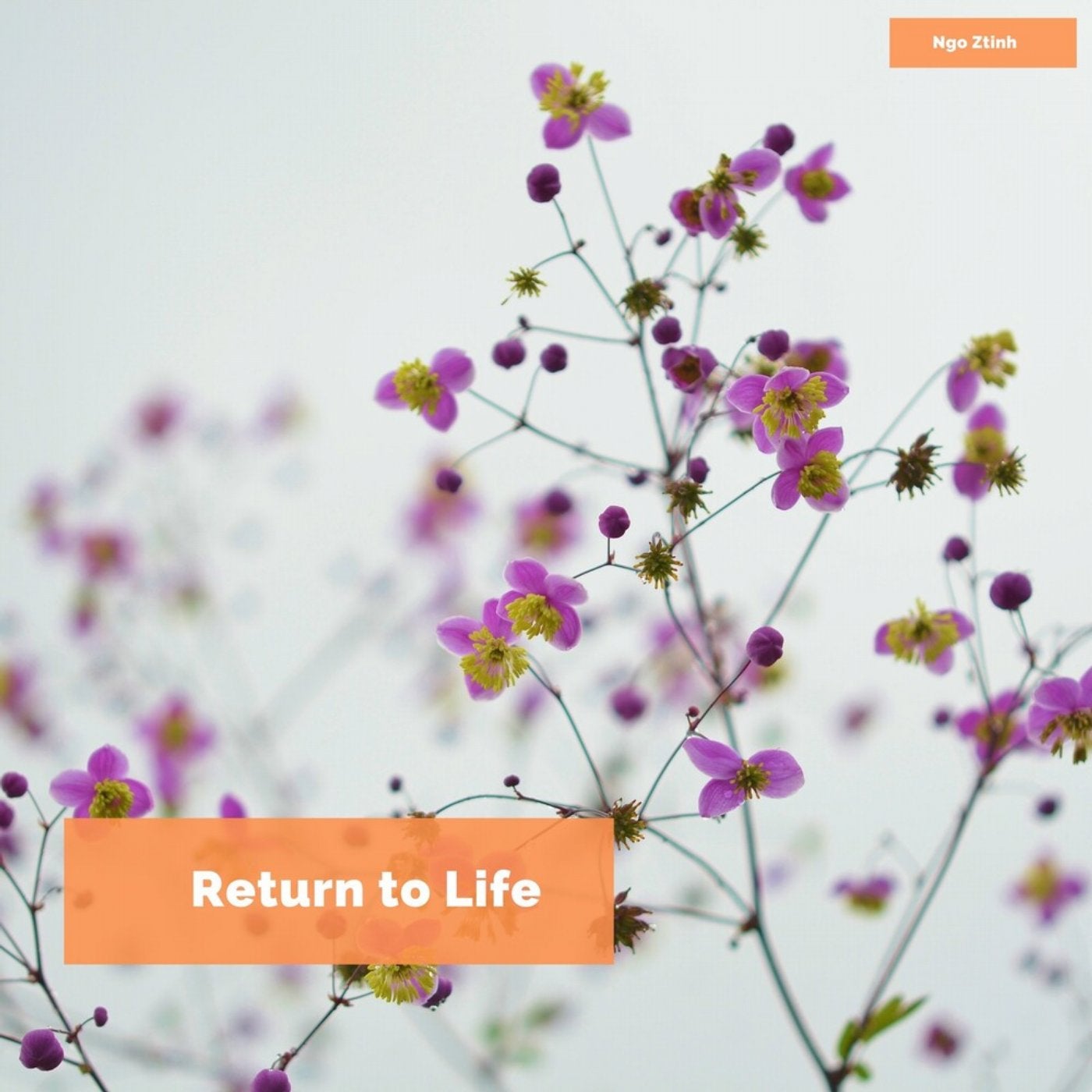 Return to Life