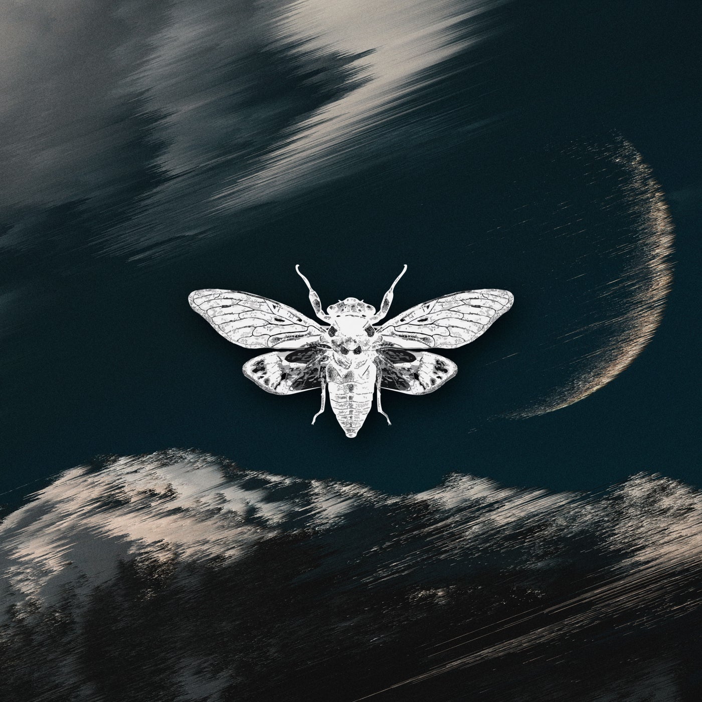 Acid Moon