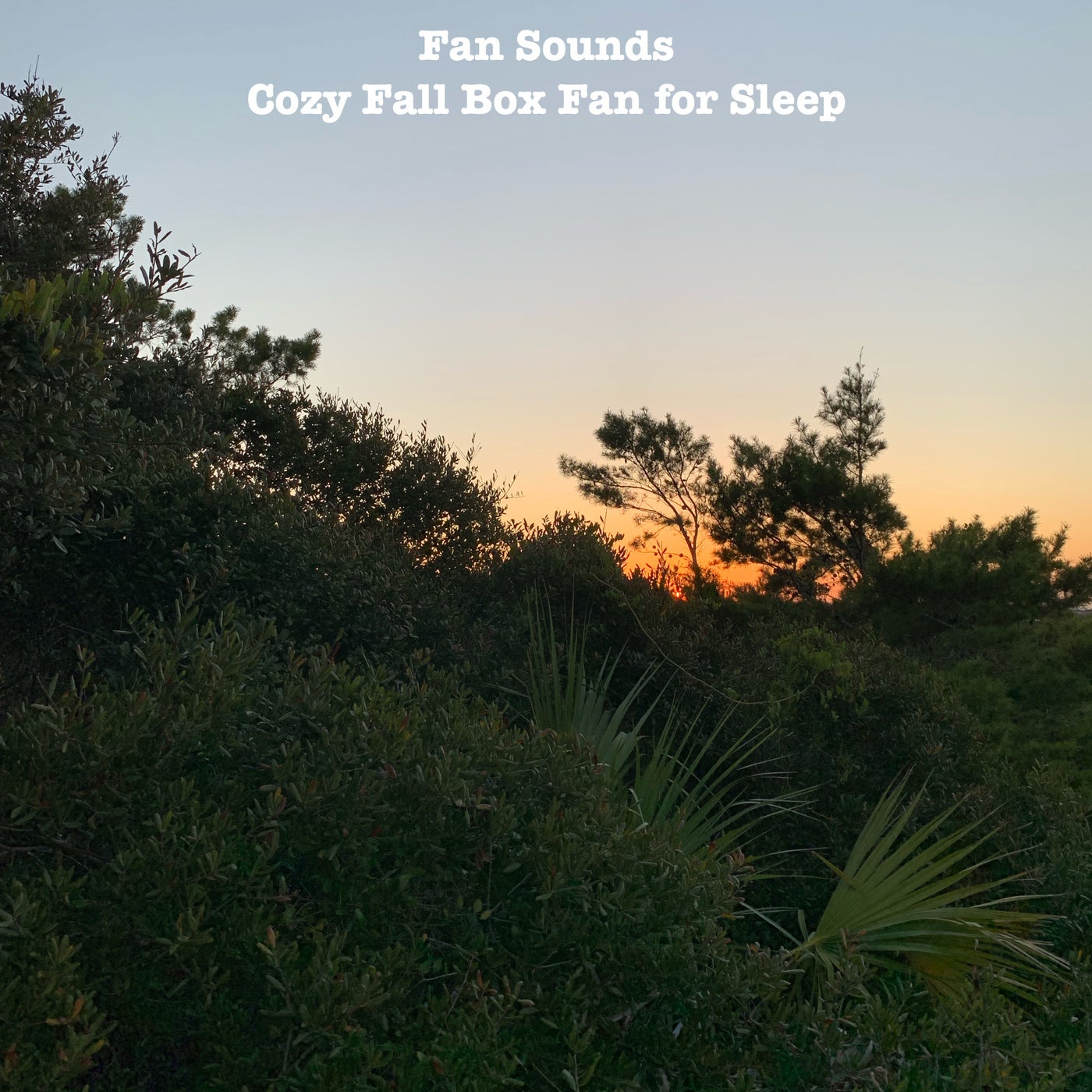Fan Sounds - Cozy Fall Box Fan for Sleep [Hitmaker Music Group] | Music ...