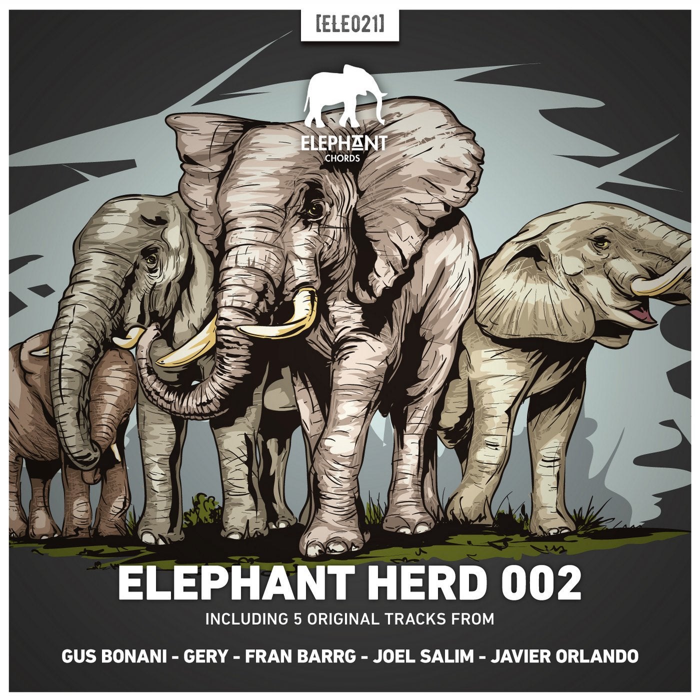 Elephant Herd 002