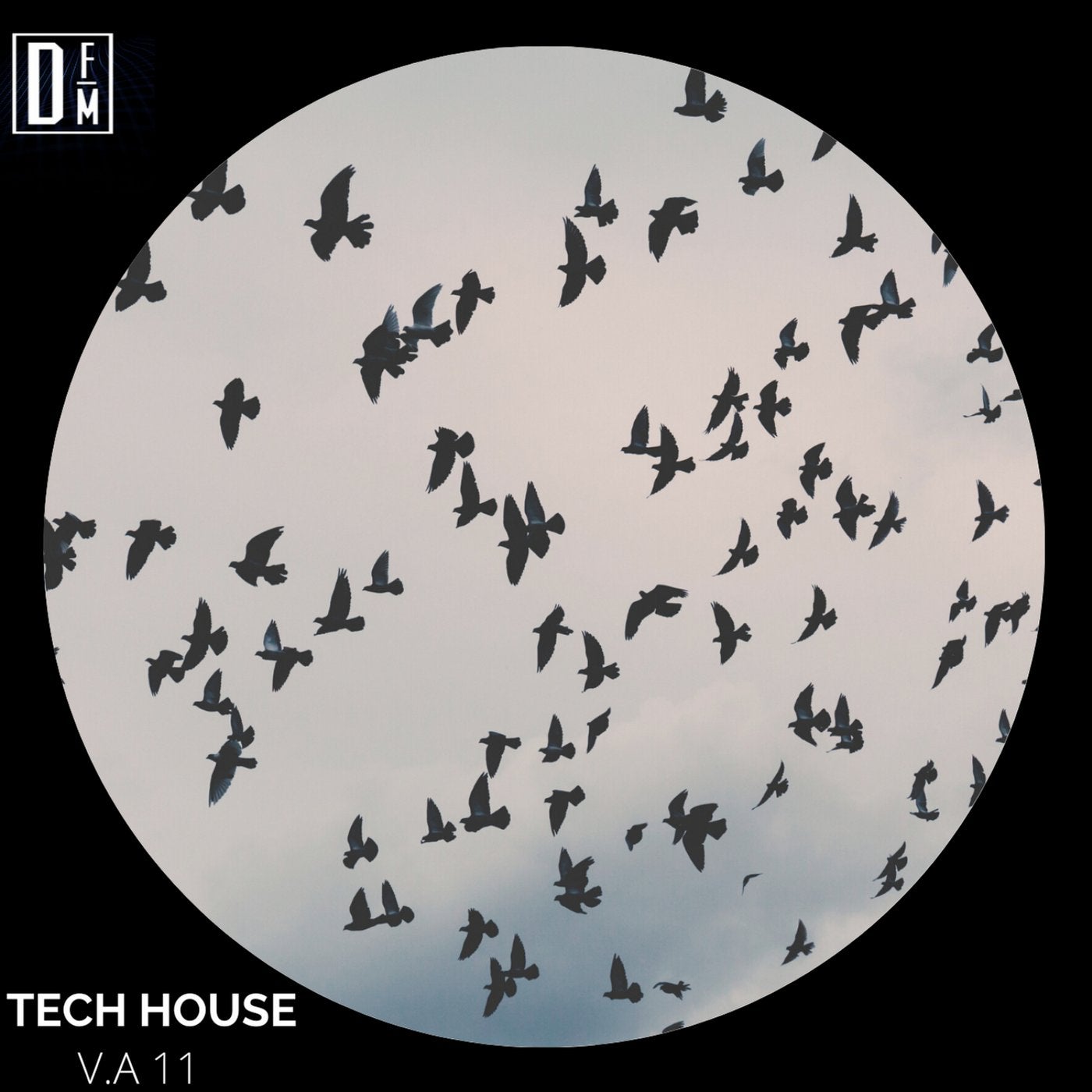 Tech House v.a 11