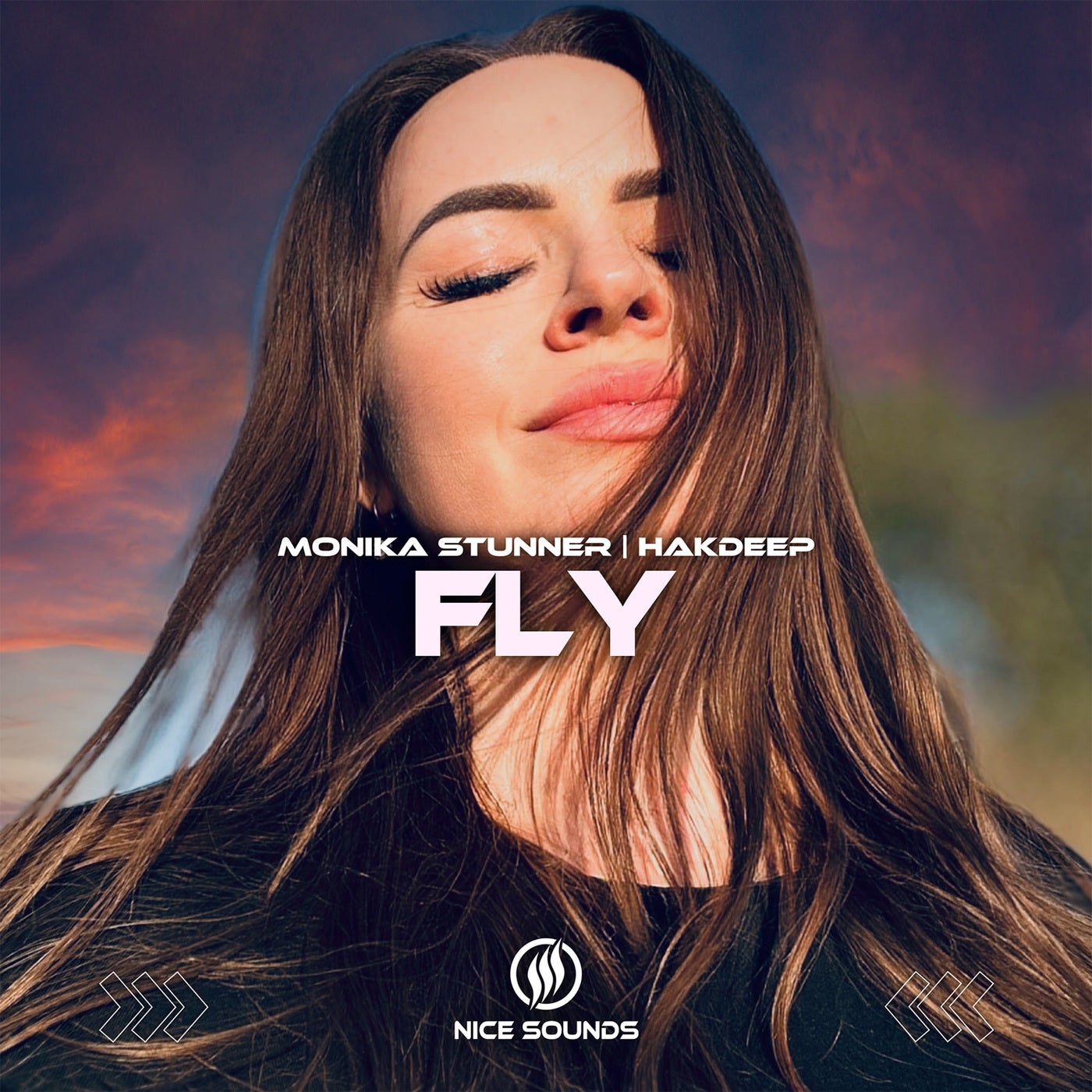 Fly