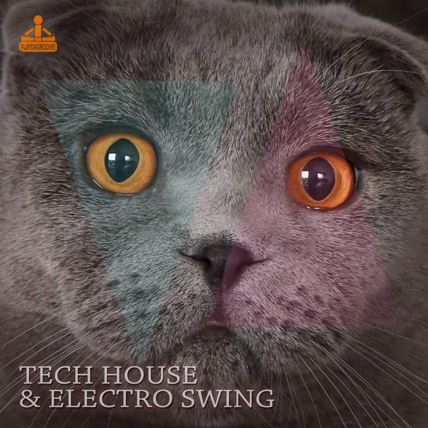 Tech House & Electro Swing