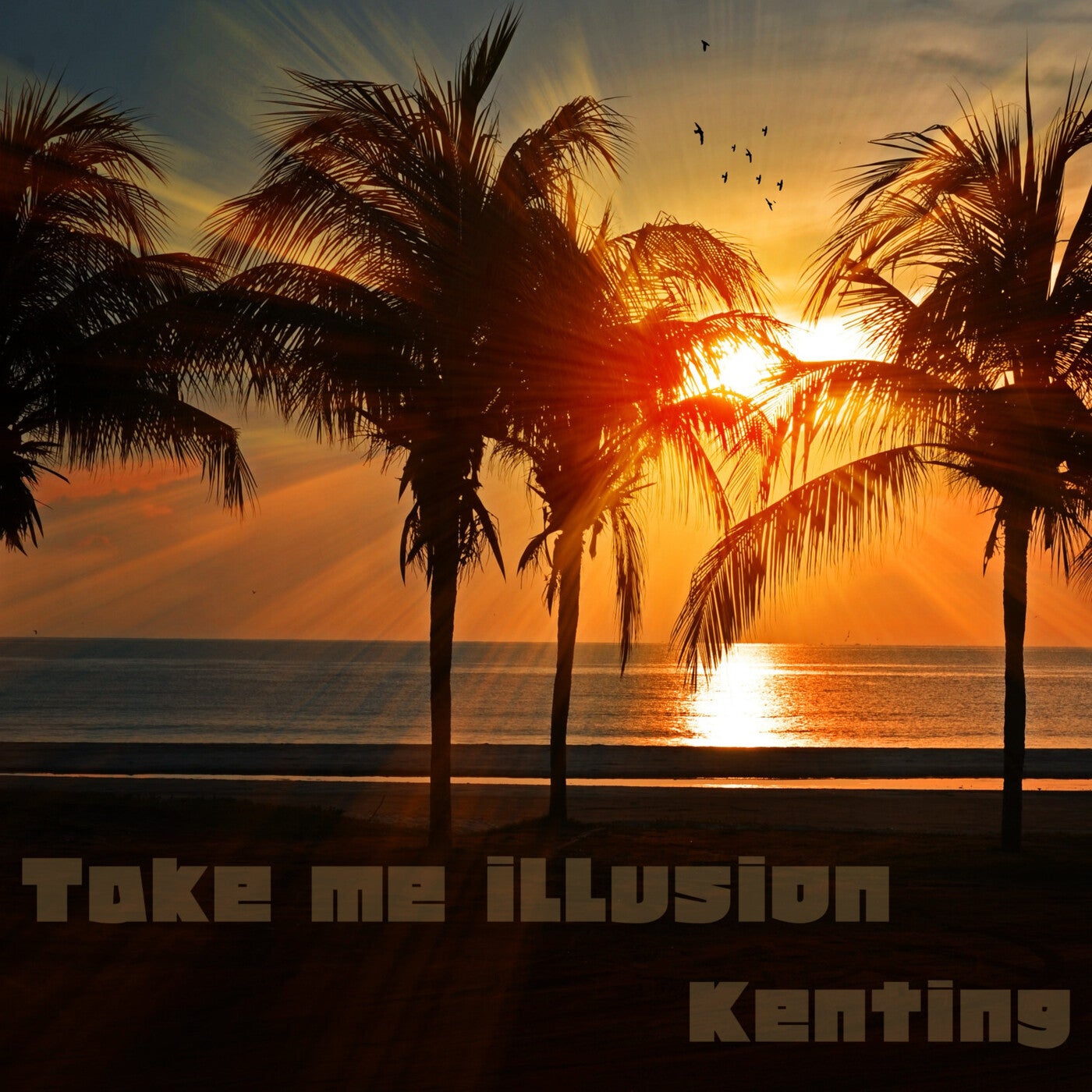 Take me illusion