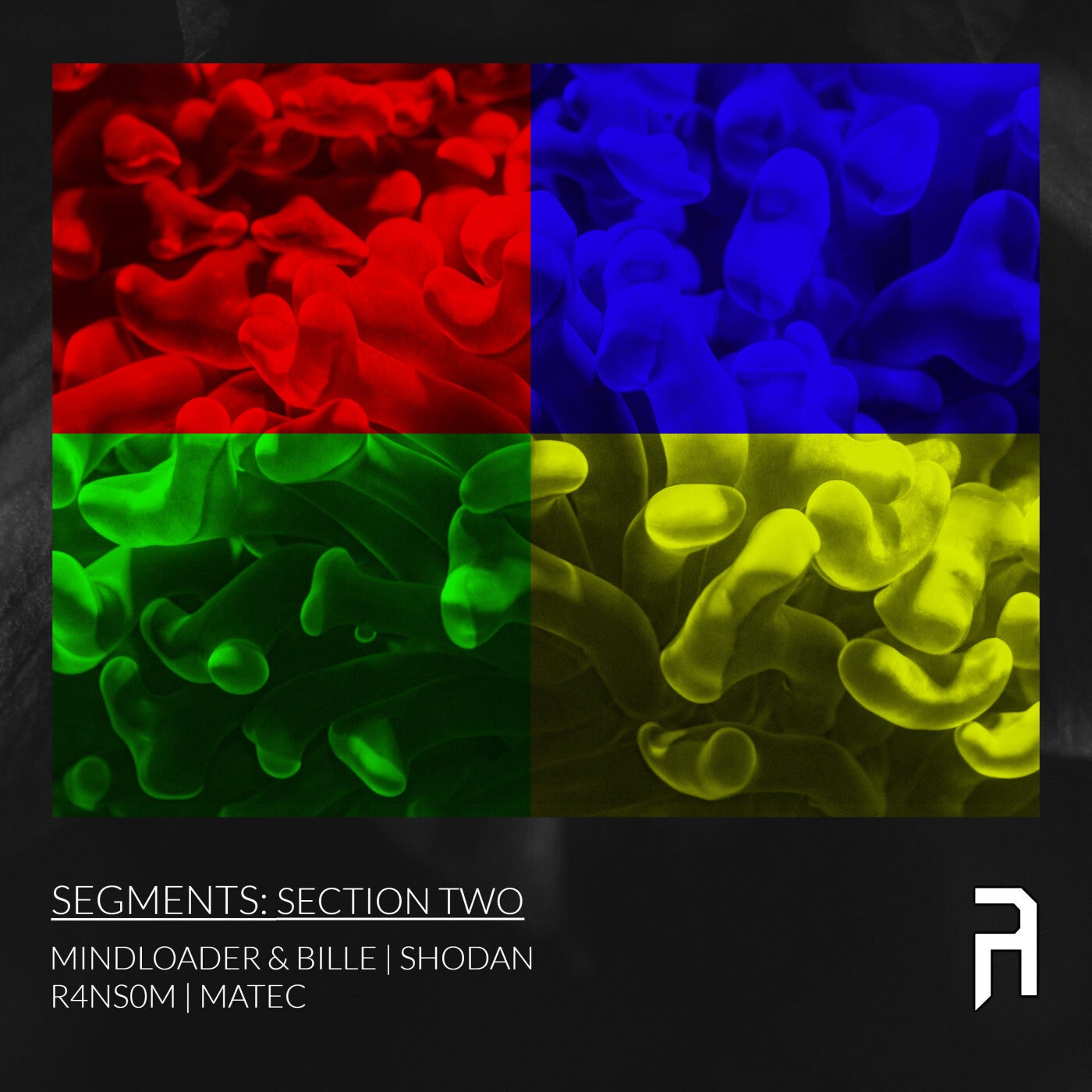Segments: Section Two