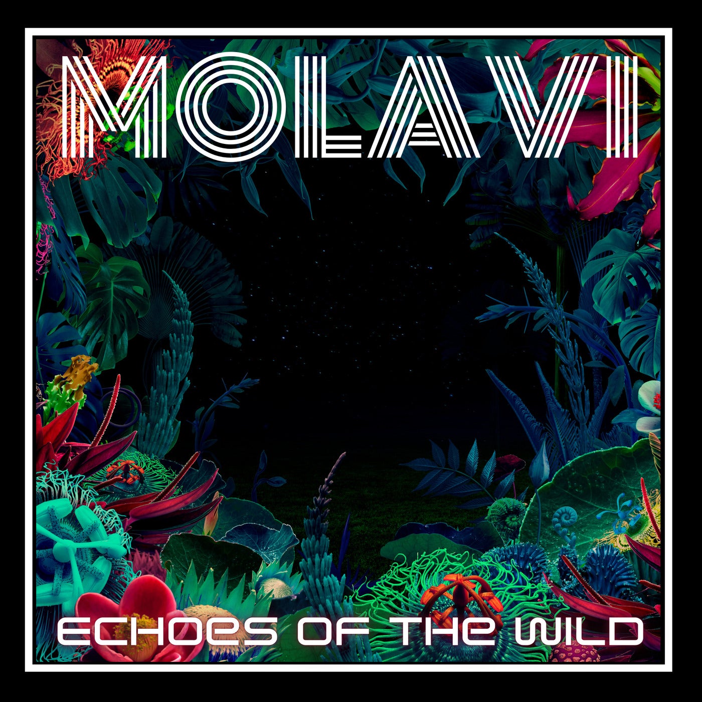 Echoes of the Wild