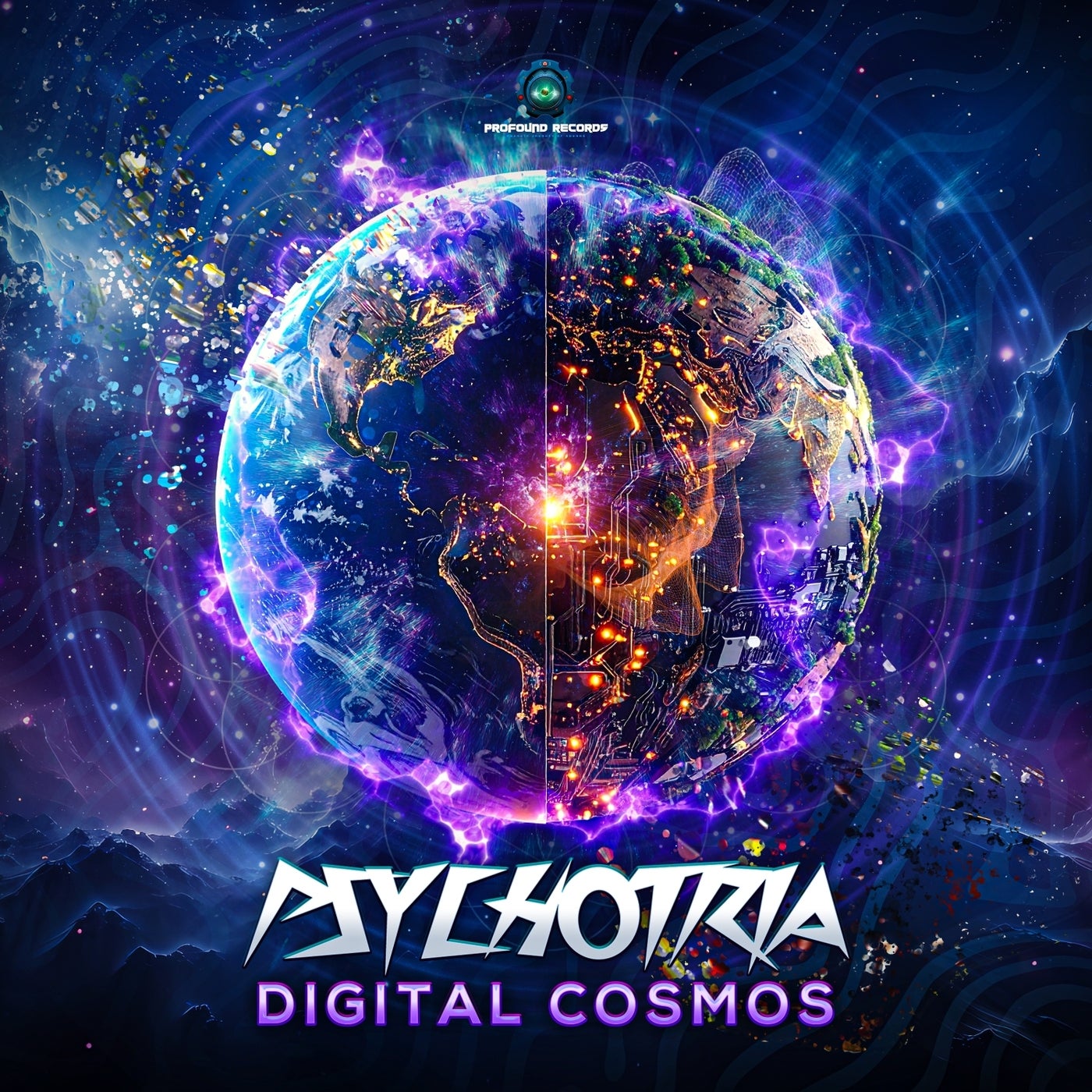 Digital Cosmos