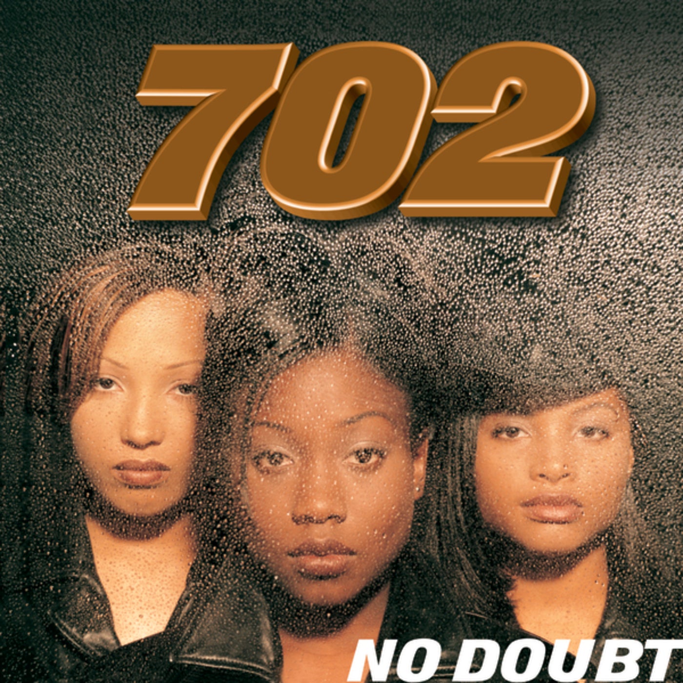 Cover art for No Doubt